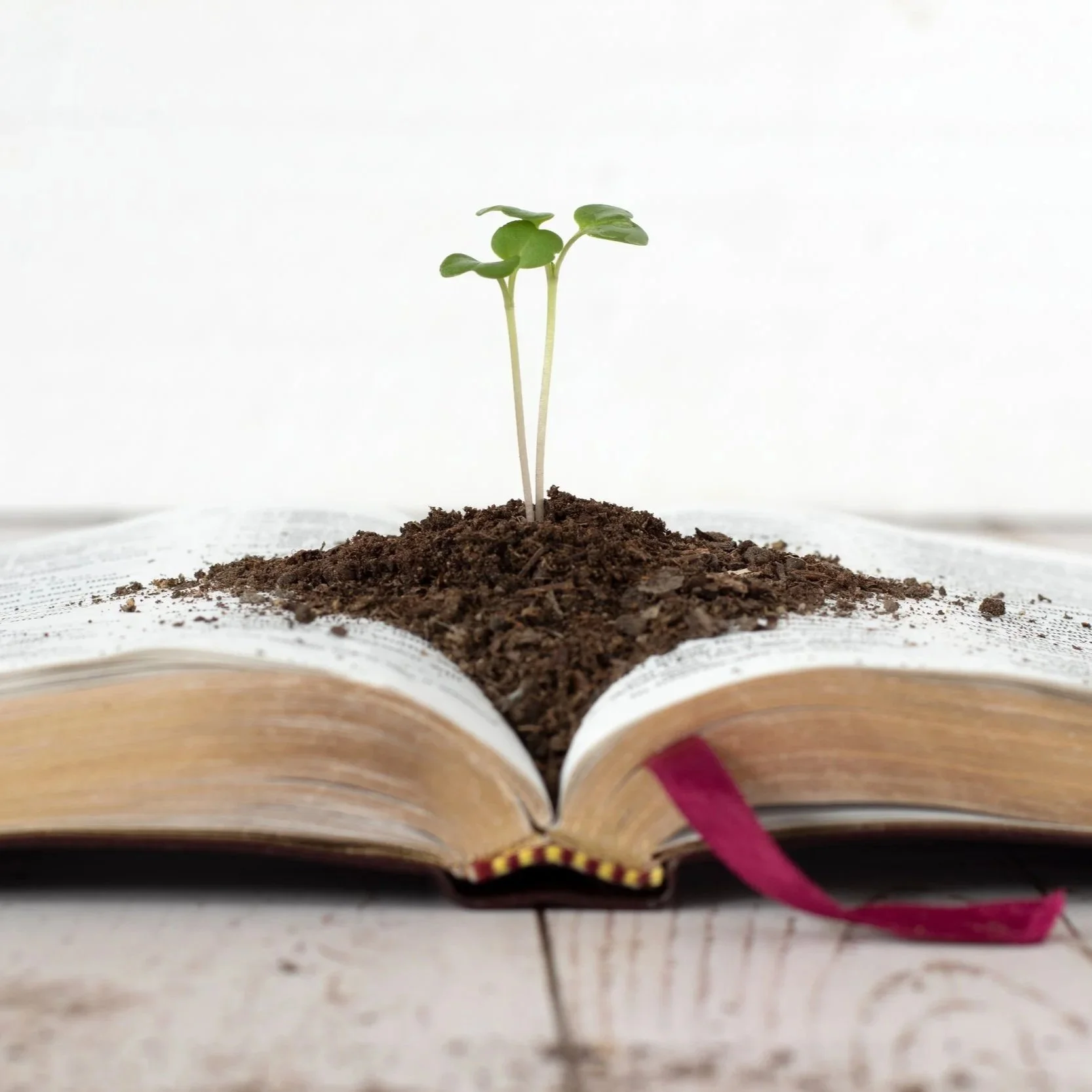 MARKS OF SPIRITUAL MATURITY