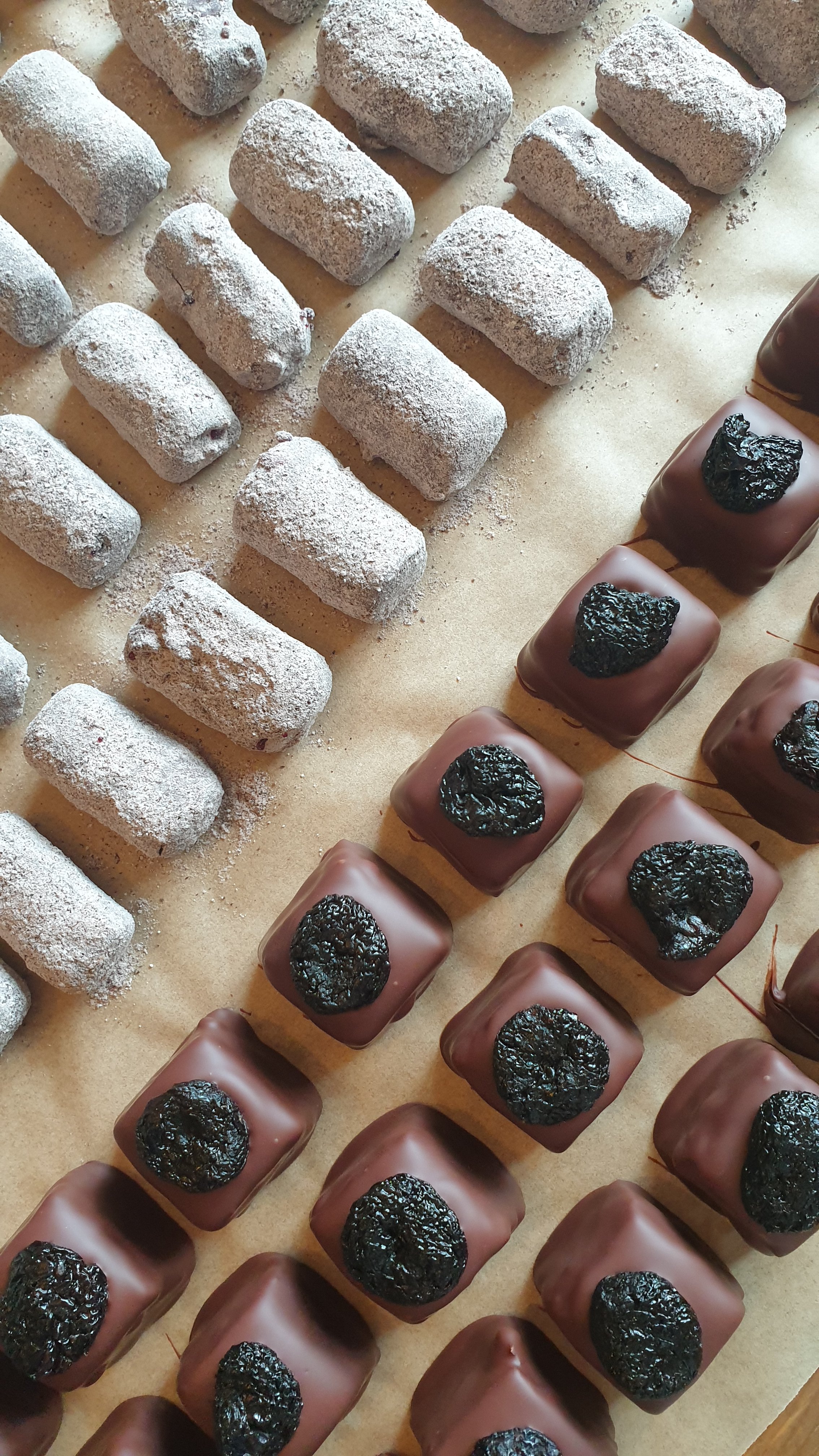 20260312_141250.jpg (Copy)