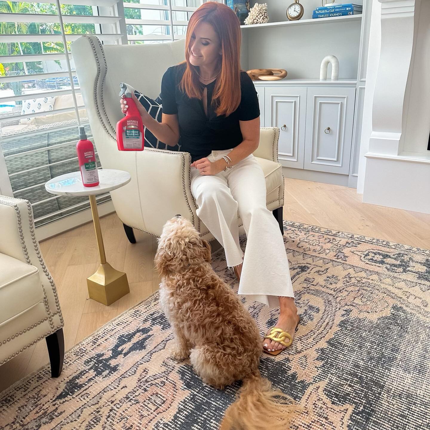 Nothing is worse than your puppy or dog peeing your favorite rug!🥲 This product would be great to use when trying to break dogs' marking behaviors. We have used it when Georgia started marking and it has helped her not to do it again. ✨What I love a