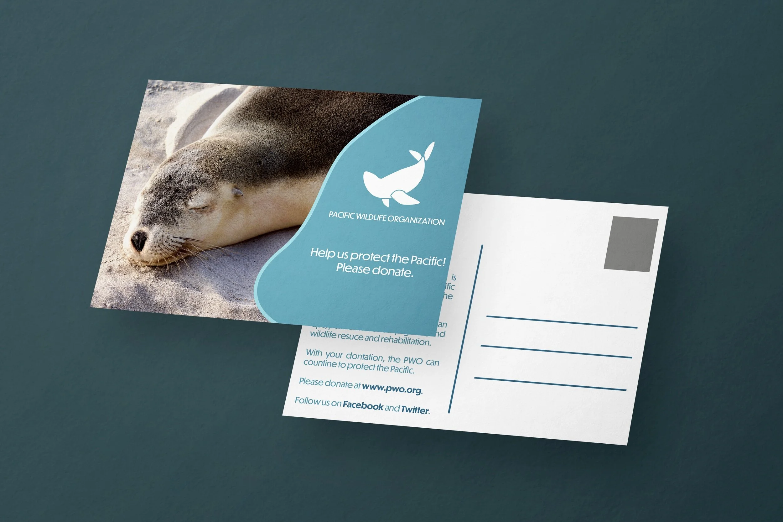 PWO+Direct+Mail+Mock+Up+1.jpg