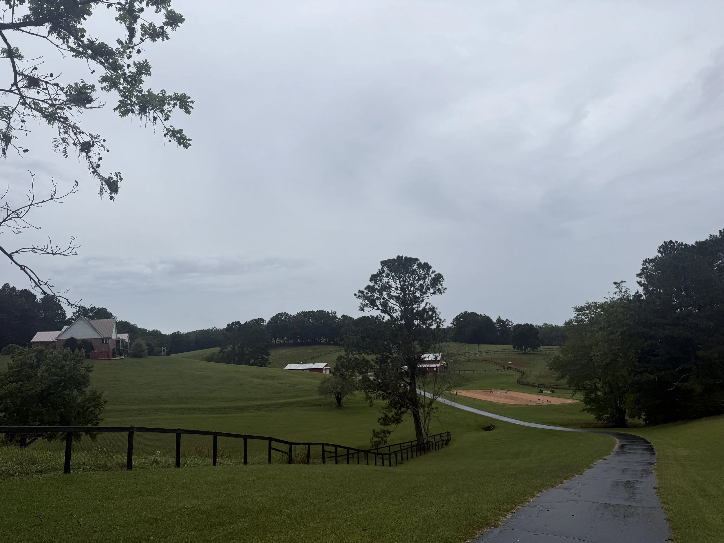 Dawsonville Estate Sale