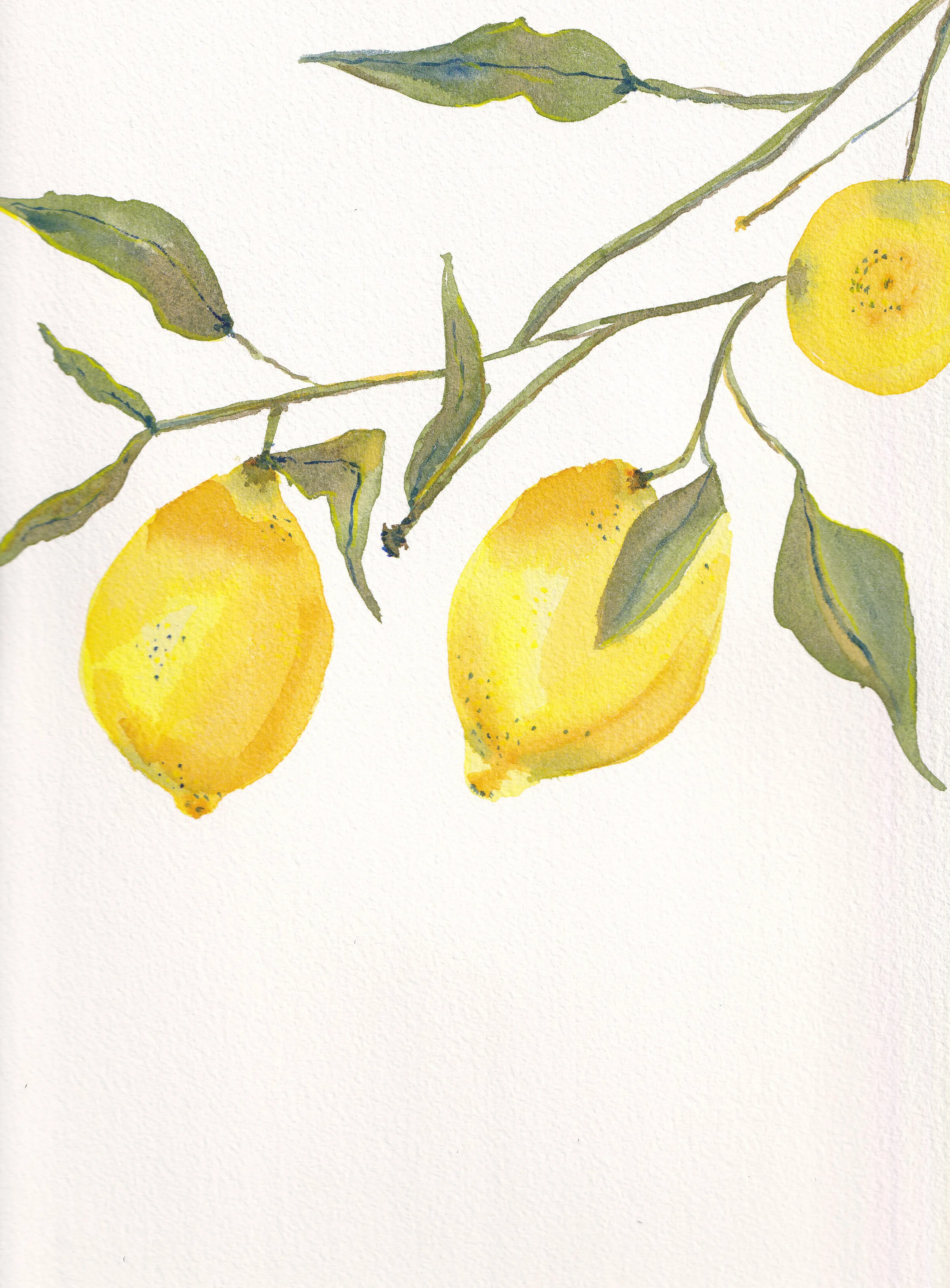 Lemons.jpg