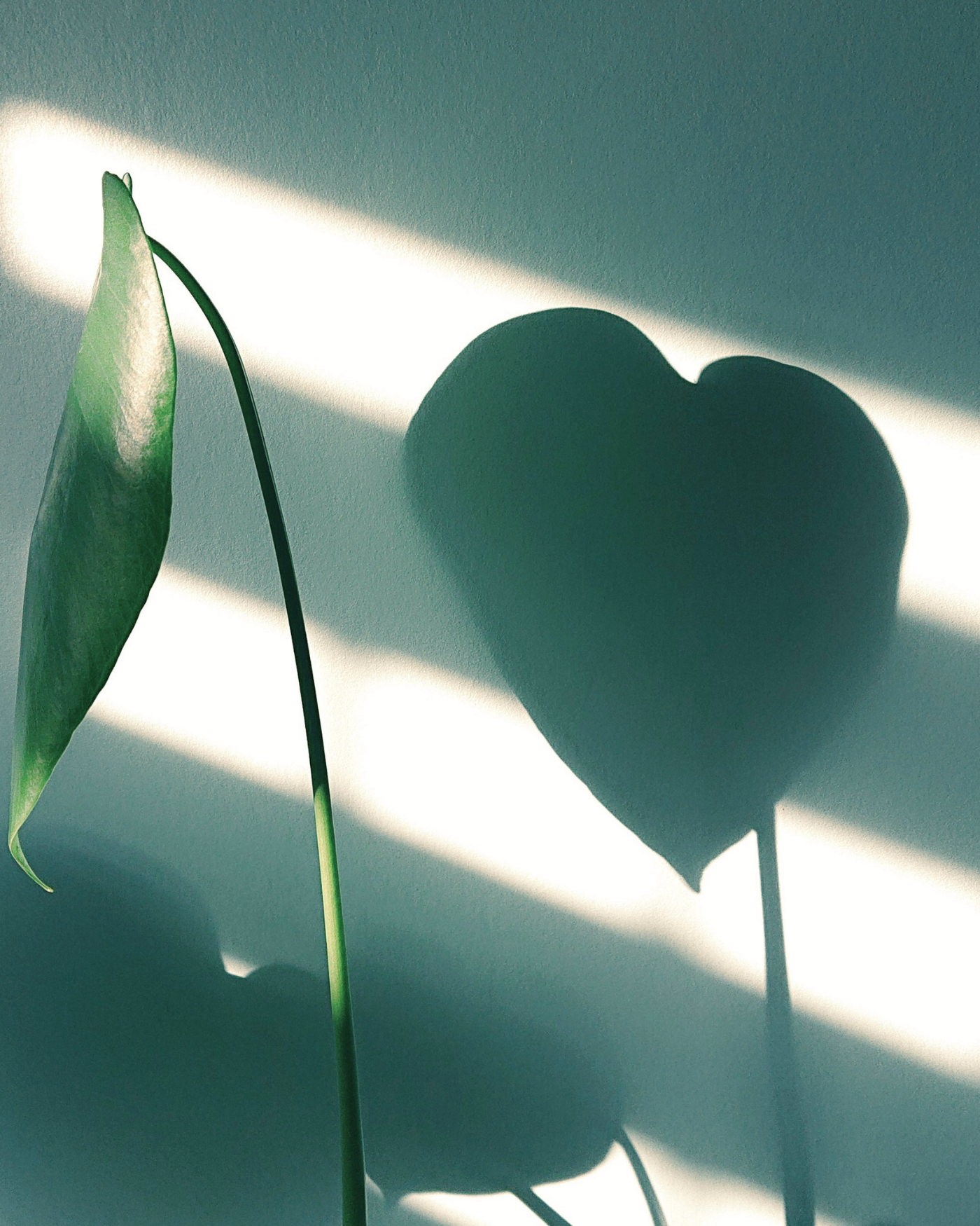 Love.