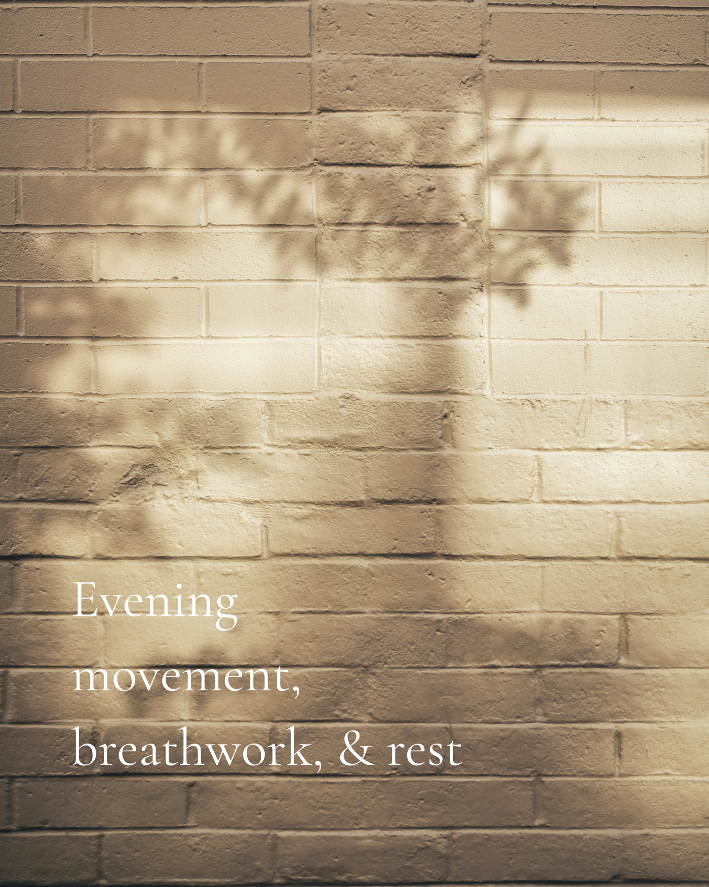 Shadows of branches cast on a beige brick wall with a text overlay that reads 'Evening movement, breathwork, & rest'.