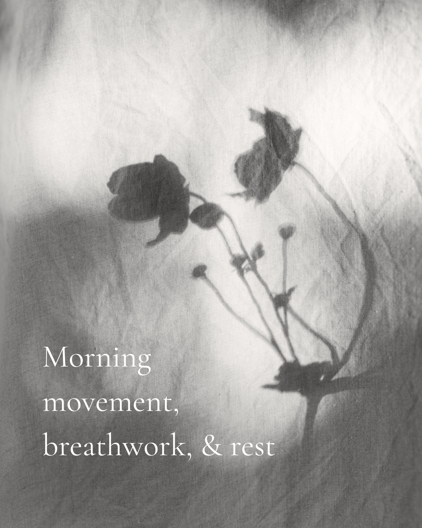 A black and white photograph of a dried flower with multiple small buds, accompanied by the text 'Morning movement, breathwork, & rest' written in a white serif font.