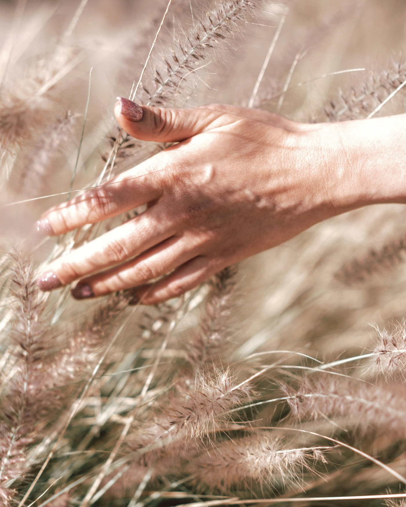 A hand touches tall, pinkish, fluffy grasses in a natural outdoor setting.