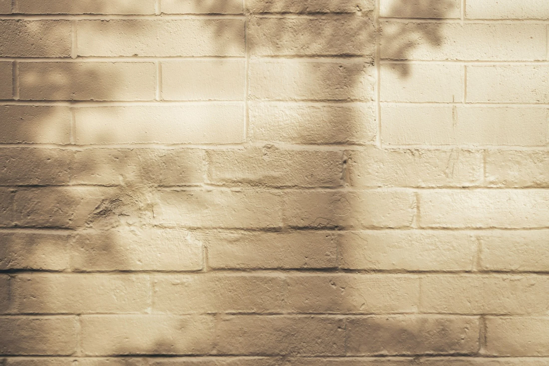 Light and shadow on a painted brick wall.