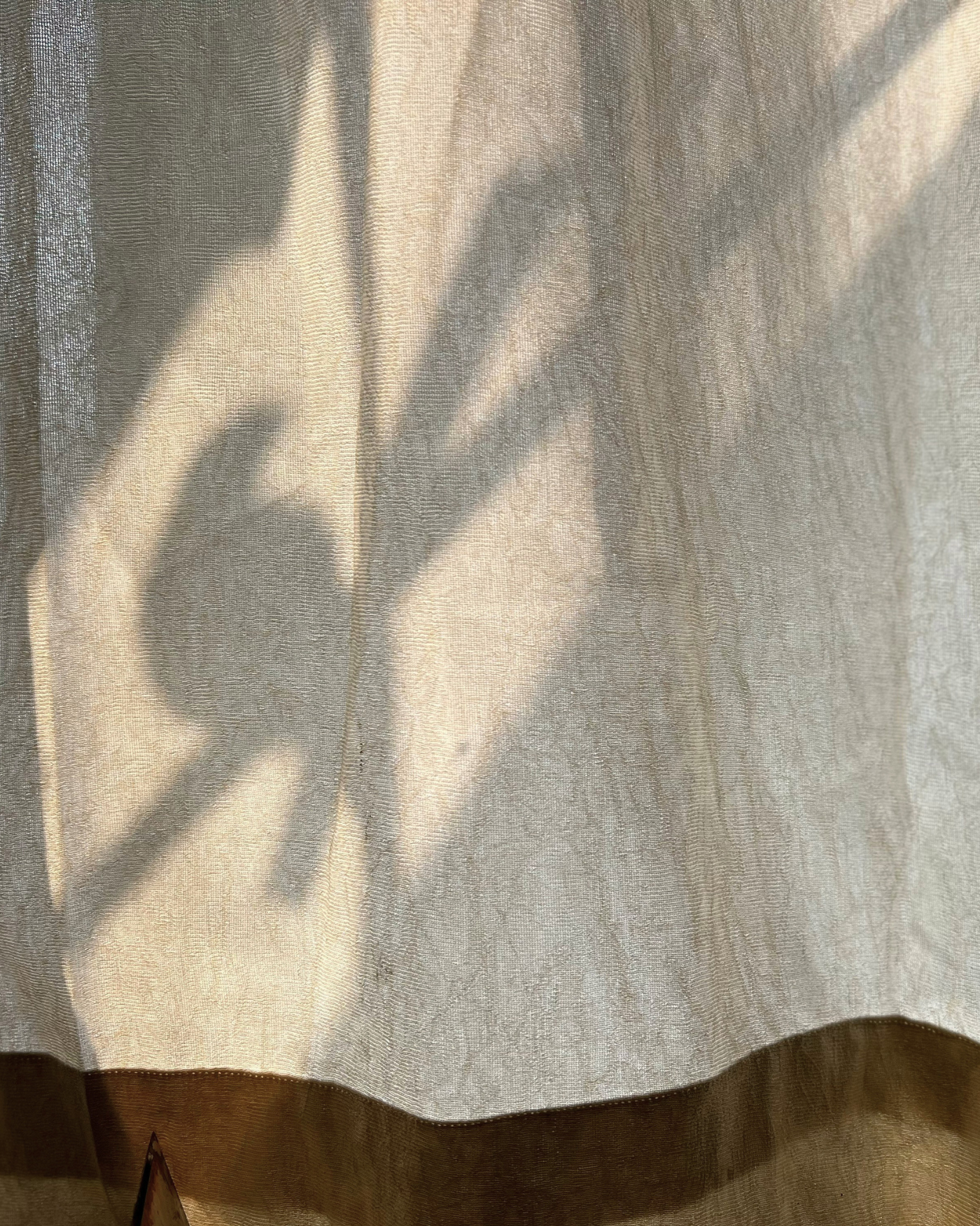 A shadow of a bird against a curtain.