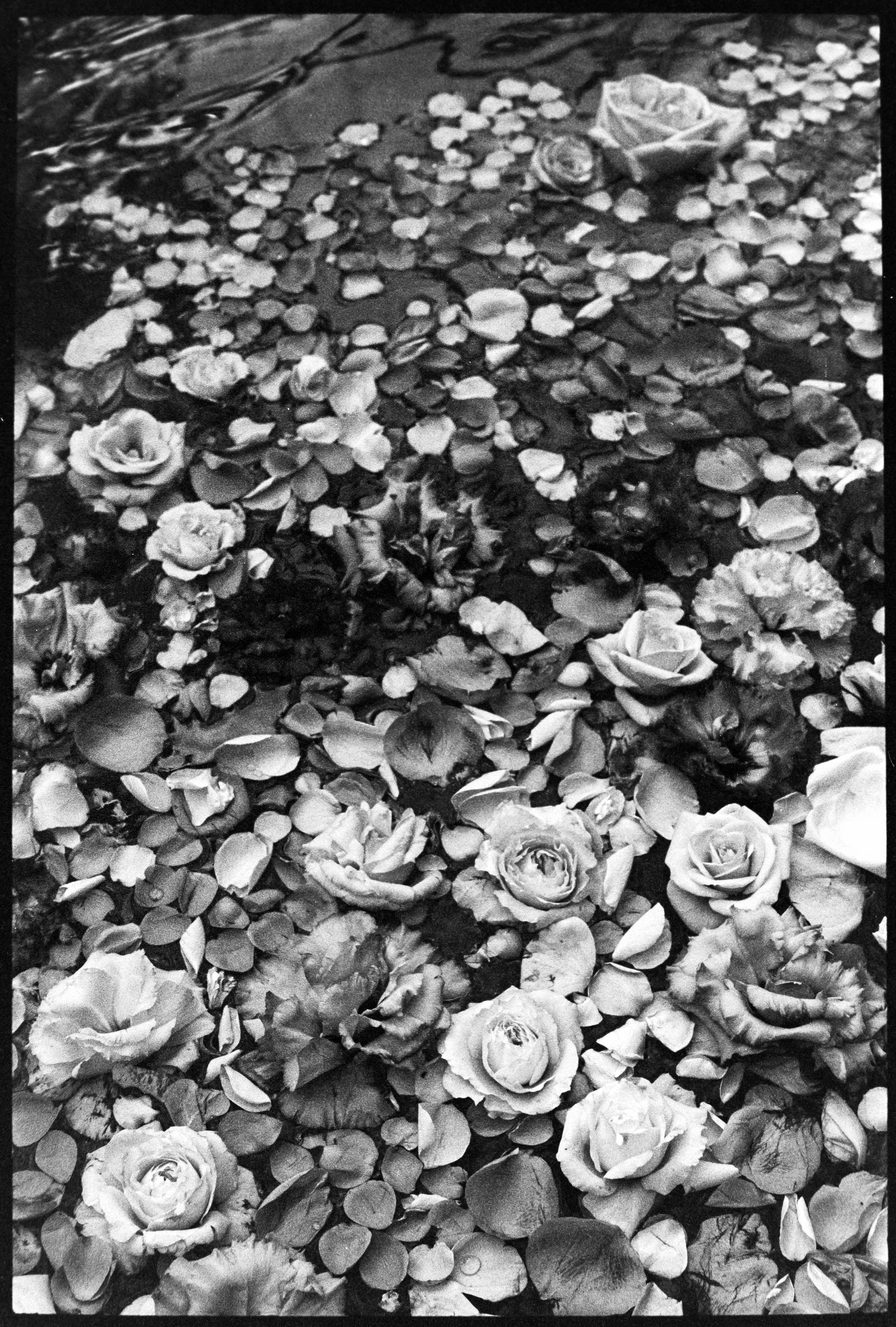 ID 1573_400TX_13.jpg
