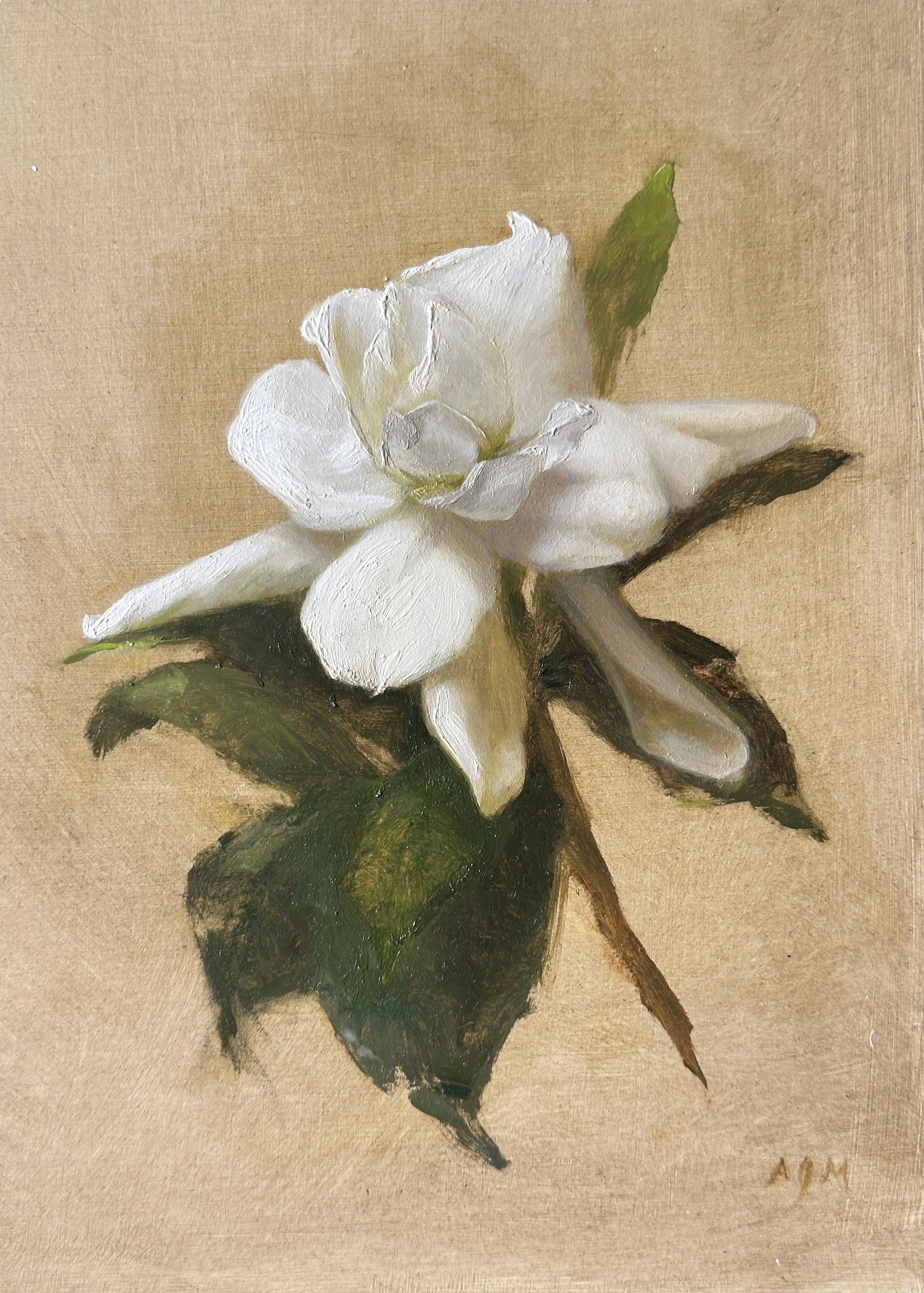 gardenia copy2.jpg
