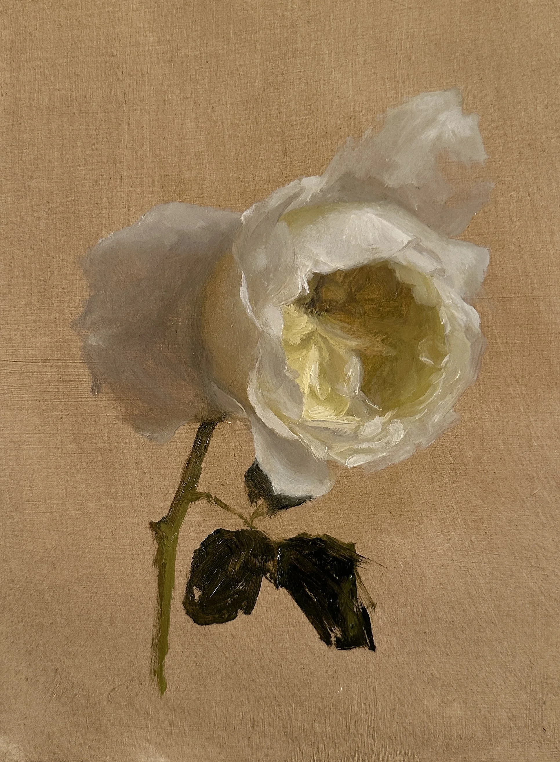 David Austin Full.JPG