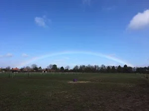 Autumn 2018 Newsletter