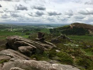 Spring 2019 Newsletter