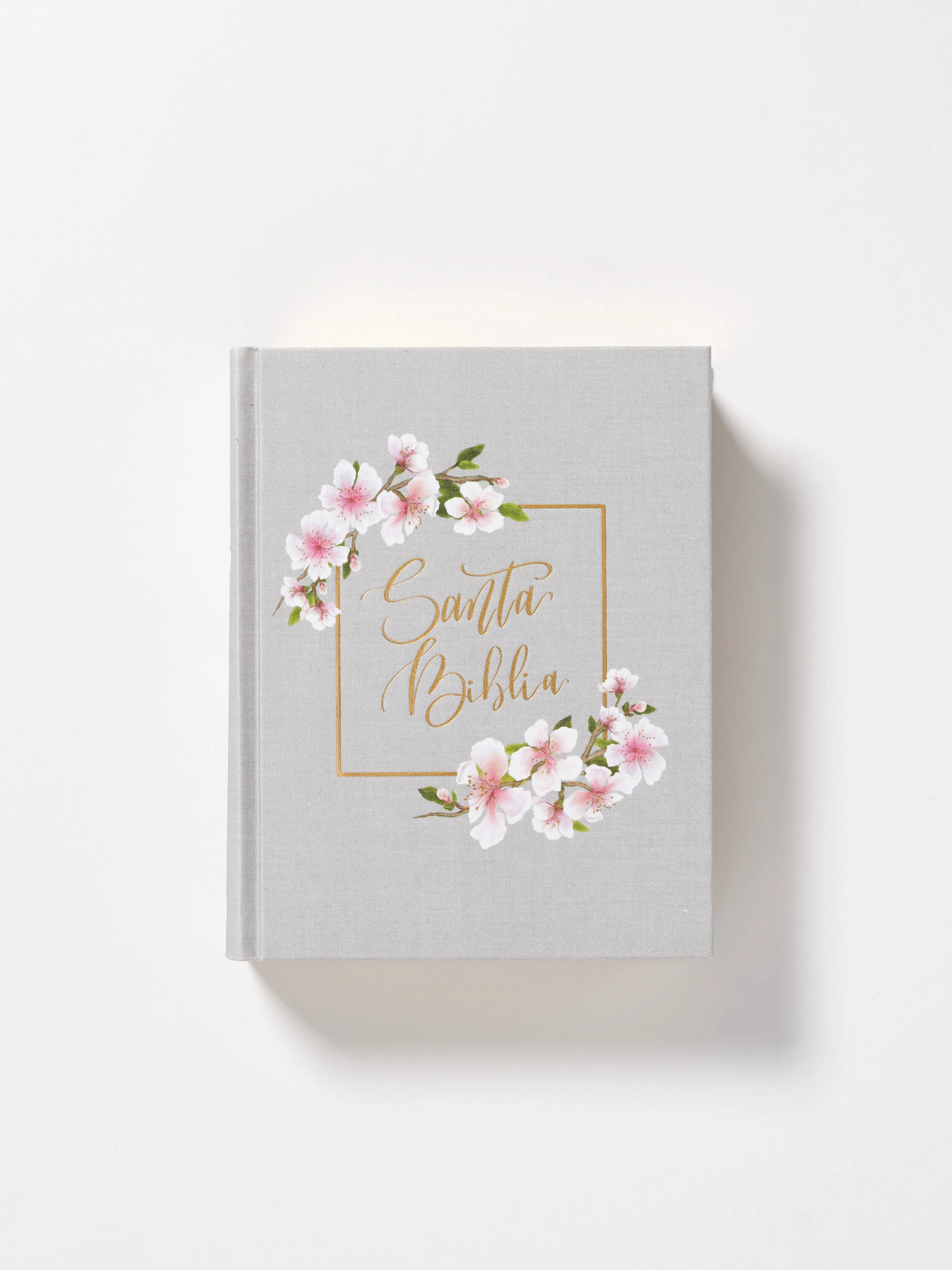 Biblia Edición Artística