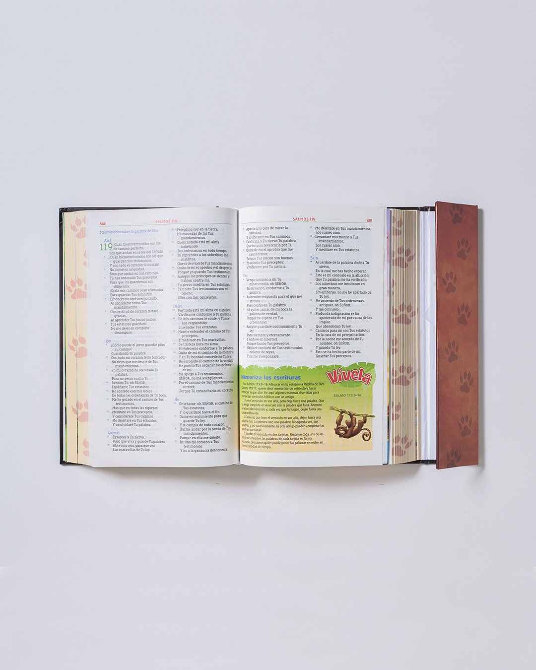Biblia Aventura León - Open 13x4.jpg