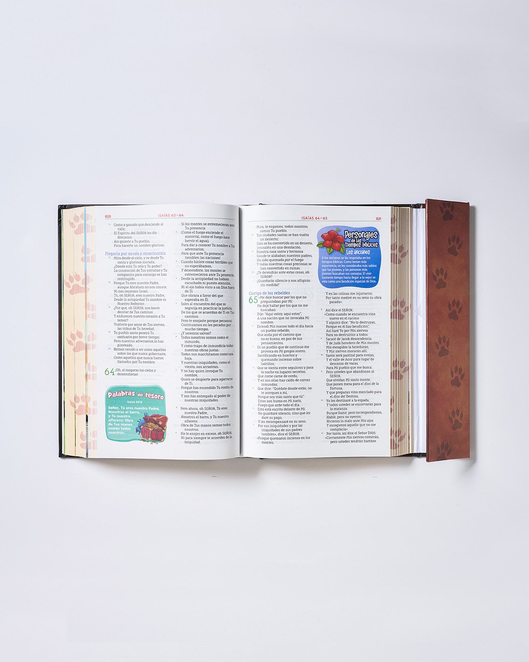 Biblia Aventura León - Open 23x4.jpg