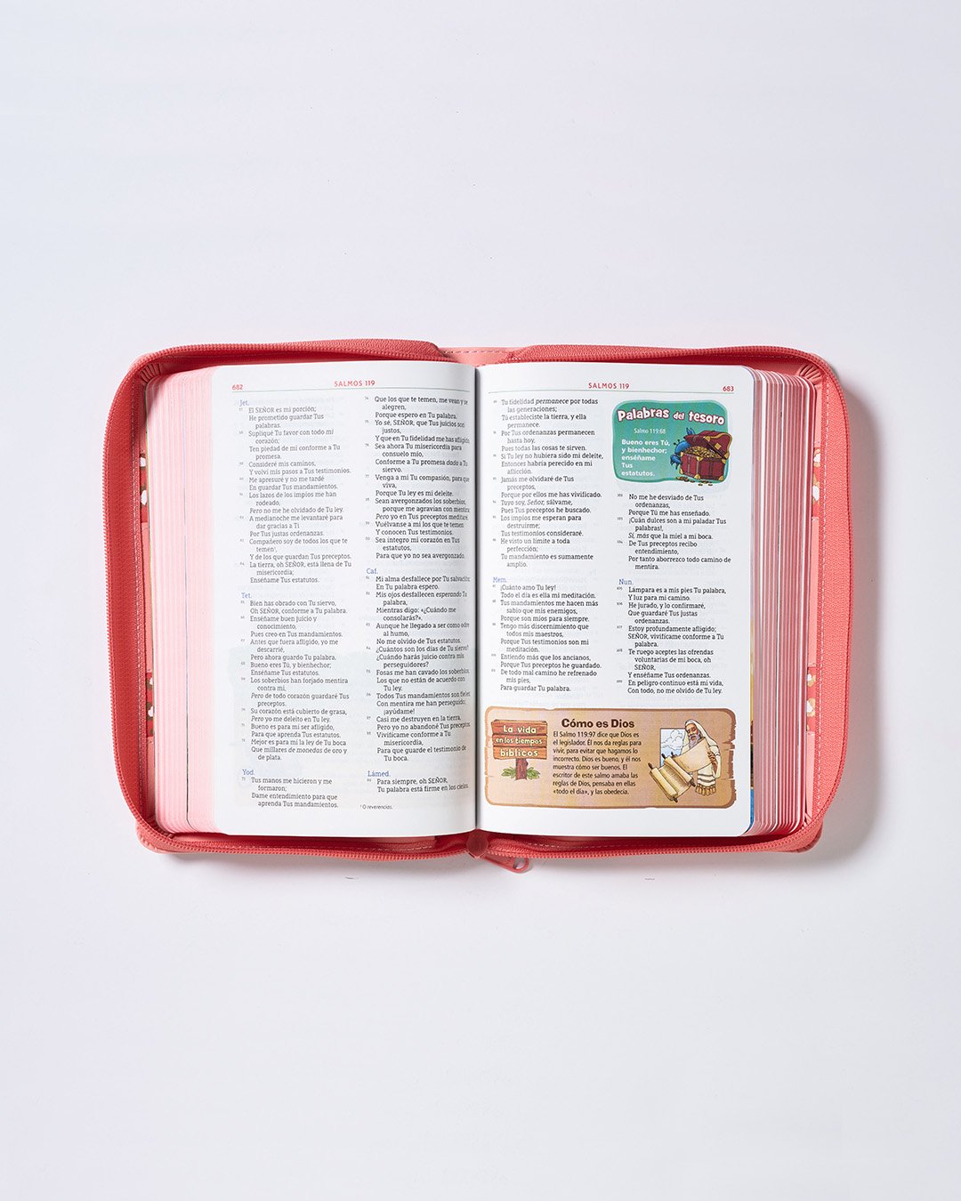 Biblia Aventura Rosa - Open 13x4.jpg