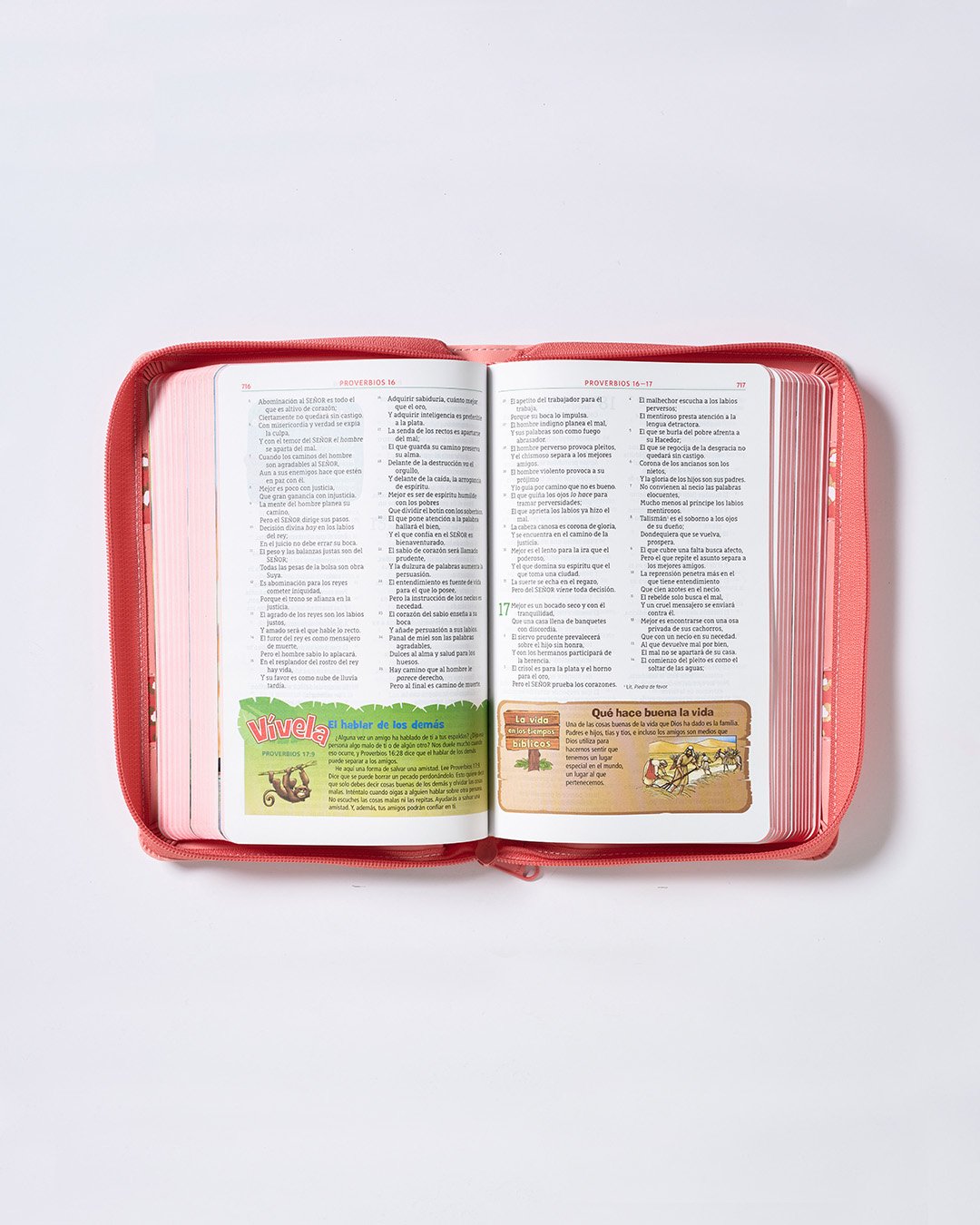 Biblia Aventura Rosa - Open 23x4.jpg