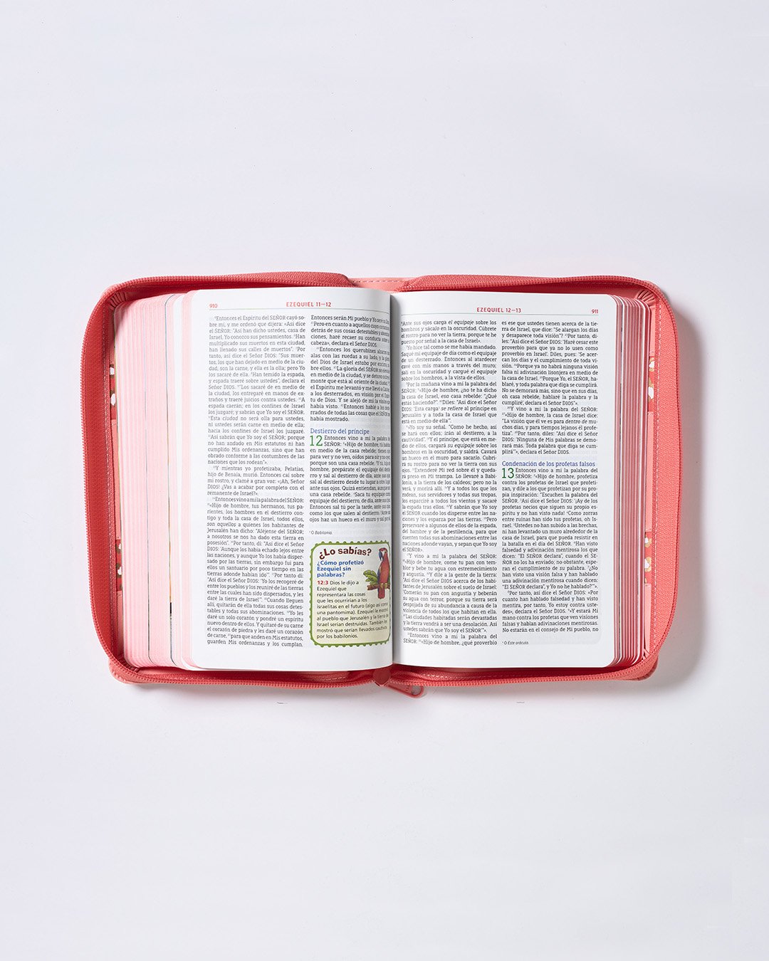 Biblia Aventura Rosa - Open 33x4.jpg