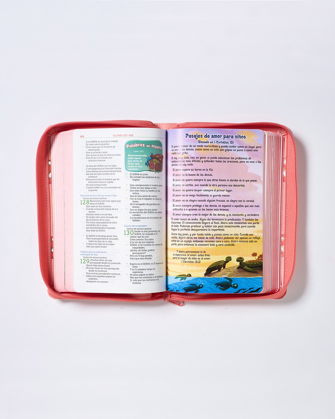Biblia Aventura Rosa - Pasajes de Amor3x4.jpg