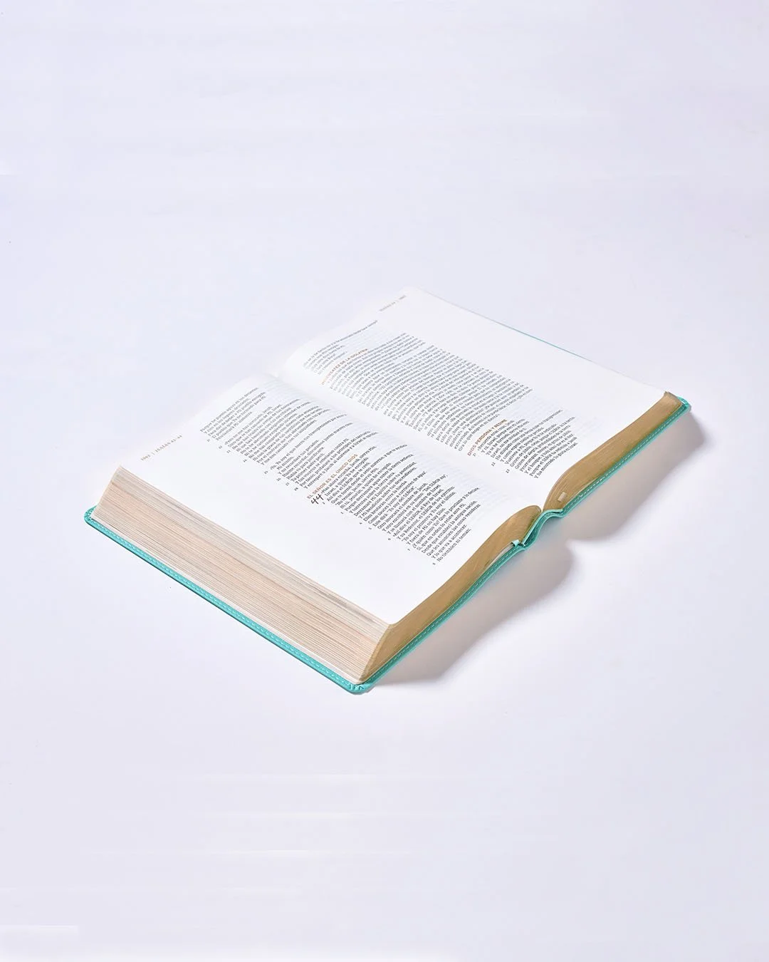 Biblia Ama a Dios Grandemente — Nueva Biblia de las Américas