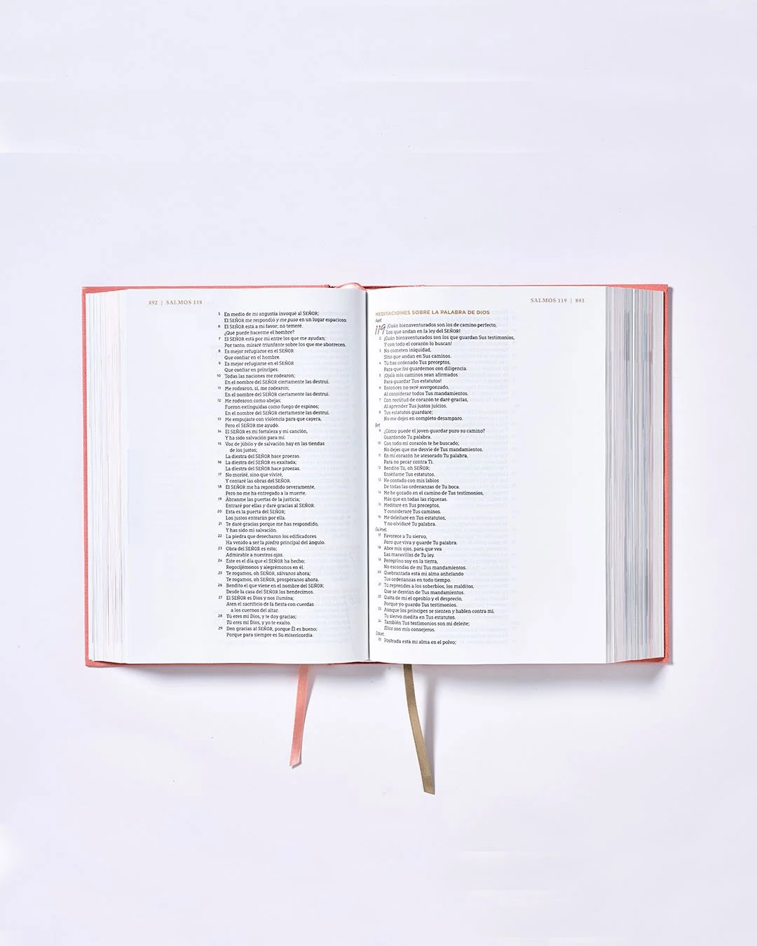 Biblia Ama a Dios Grandemente — Nueva Biblia de las Américas