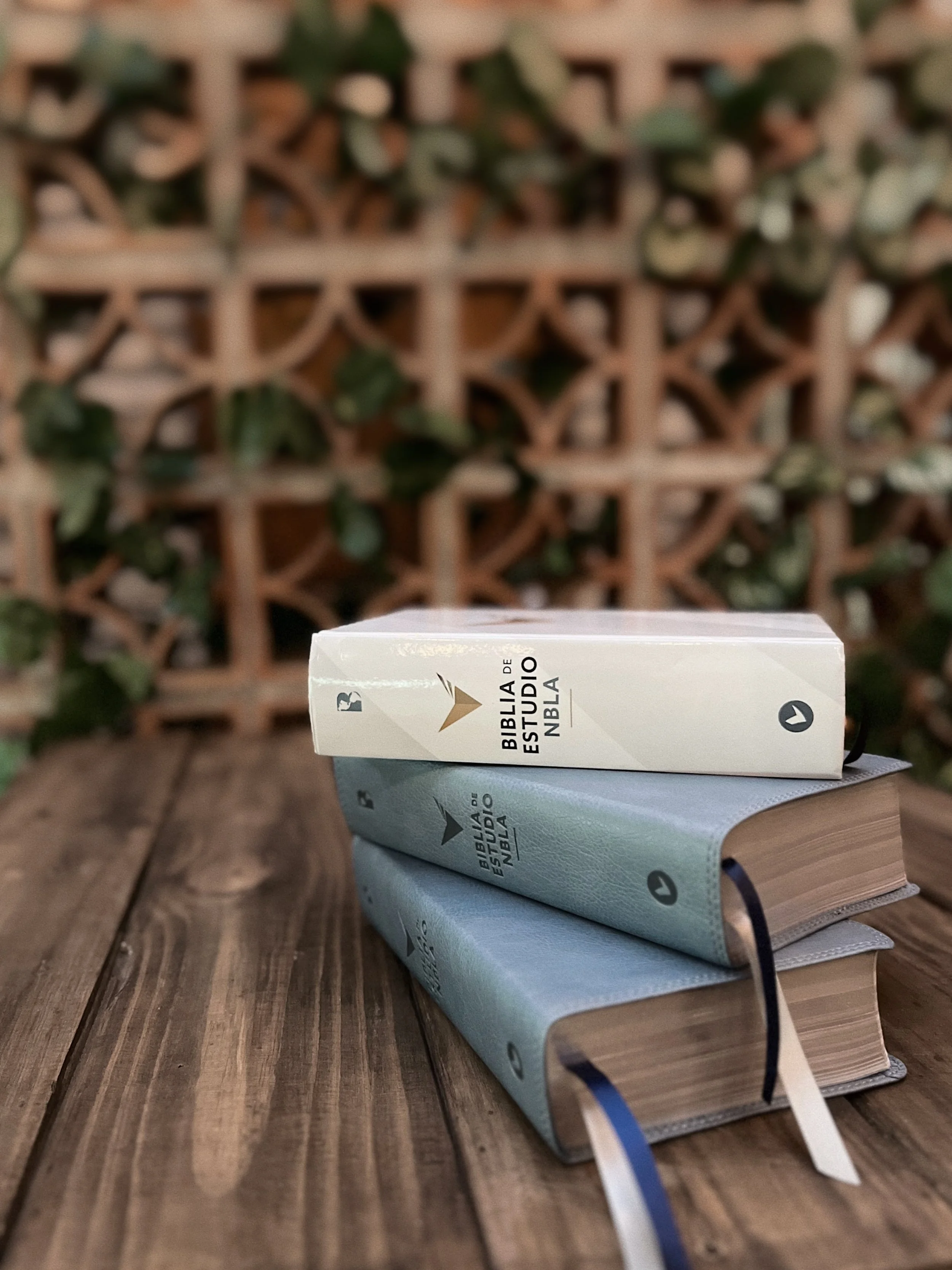 NBLA Biblia de Estudio 2.jpeg