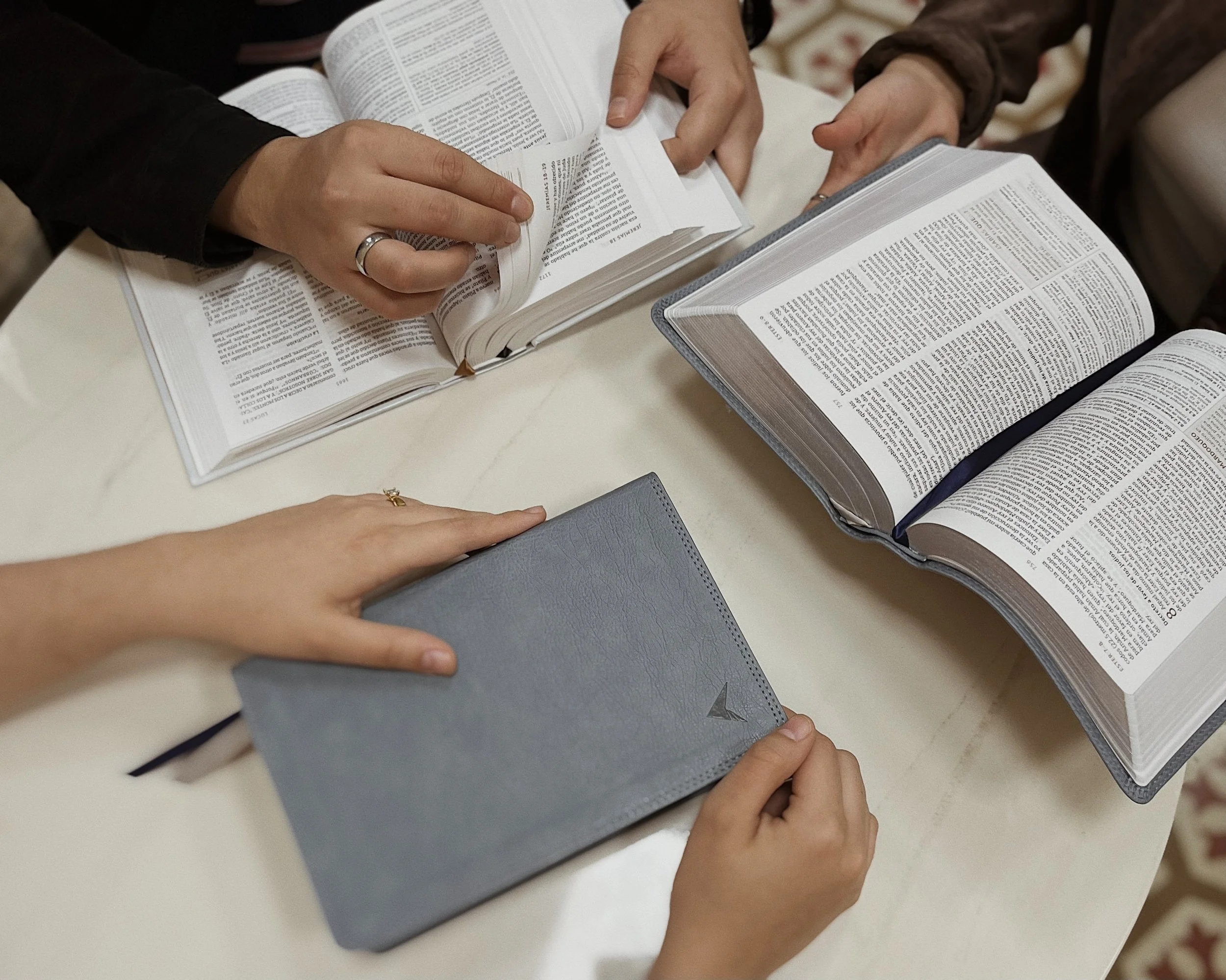 NBLA Biblia de Estudio 3.jpeg