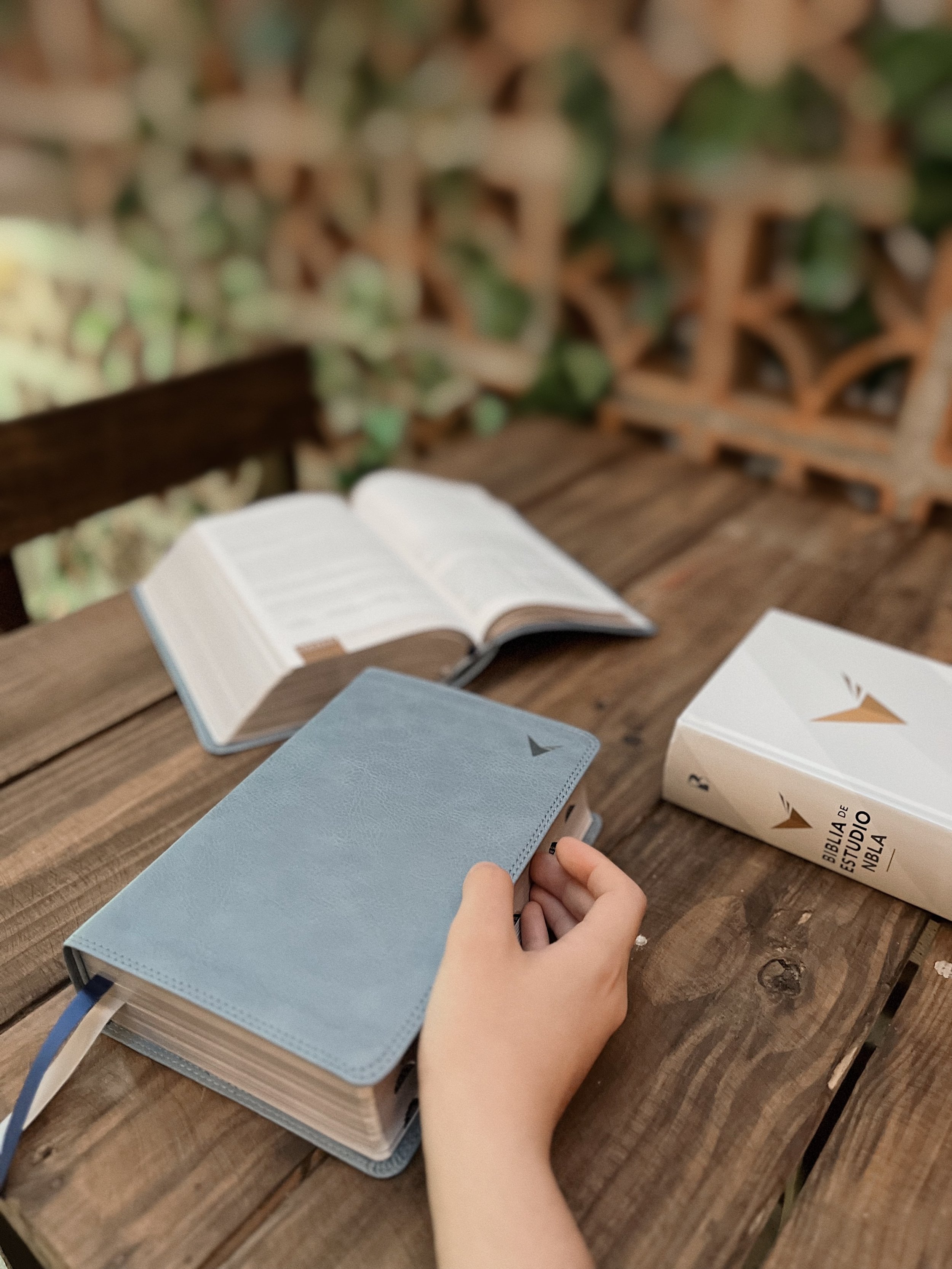 NBLA Biblia de Estudio 5.jpeg