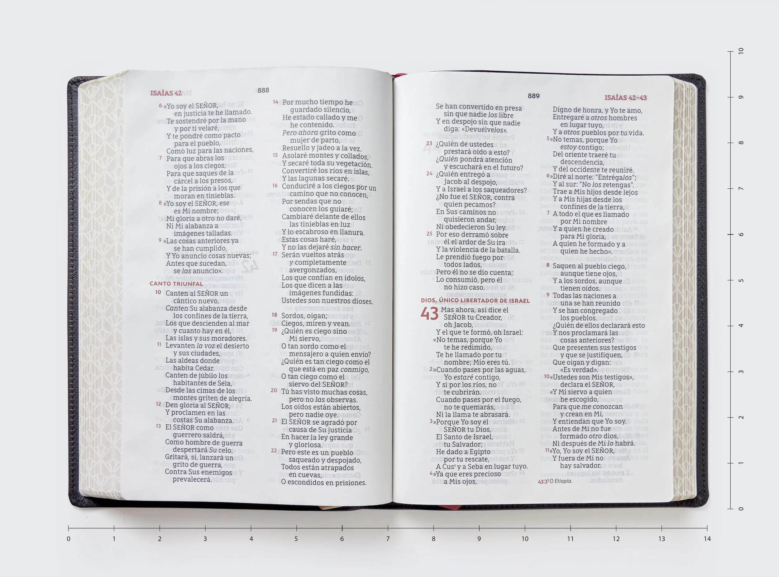 Biblia para la lectura pública - Open Book
