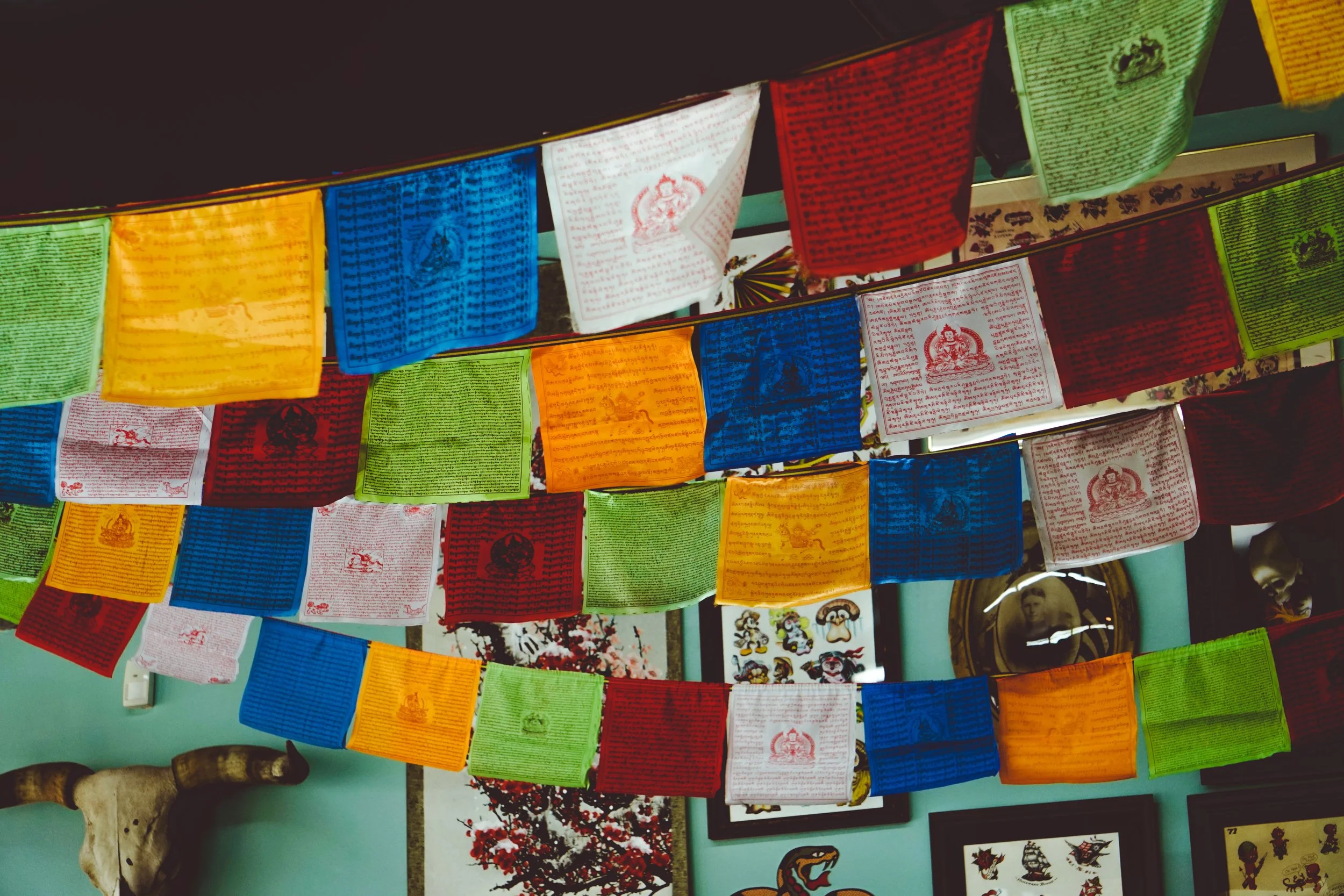 Copy of AB7C7749-D890-46A8-B8C2-37B46896D39C.JPEG