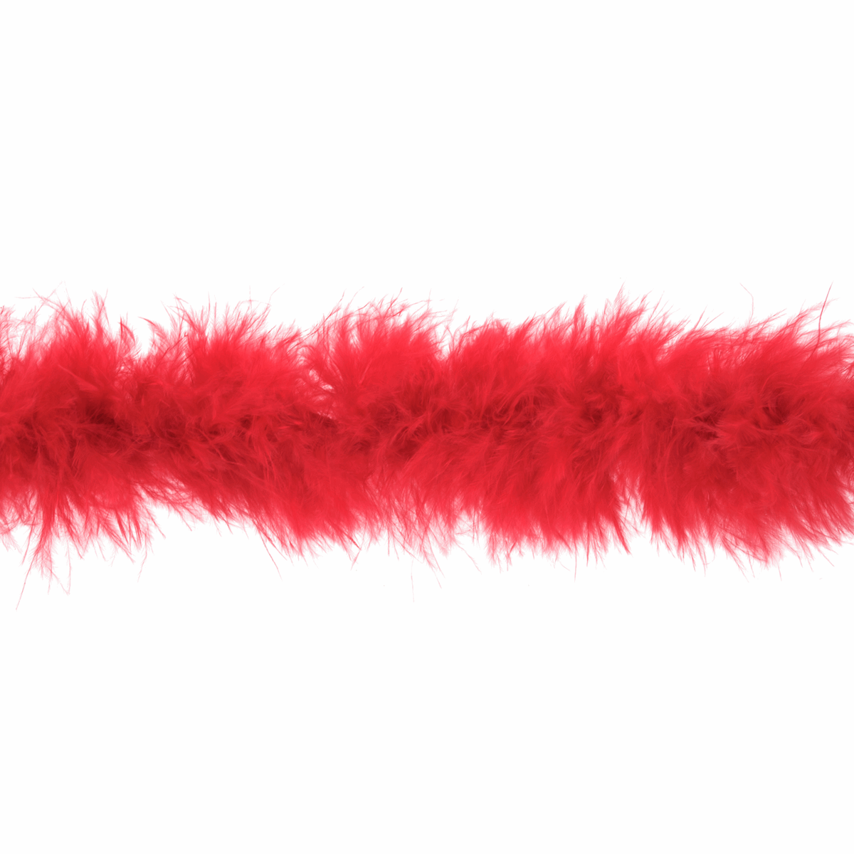 89CBDC6F-AE9E-4D36-B2F7-7CC4073136BF.png