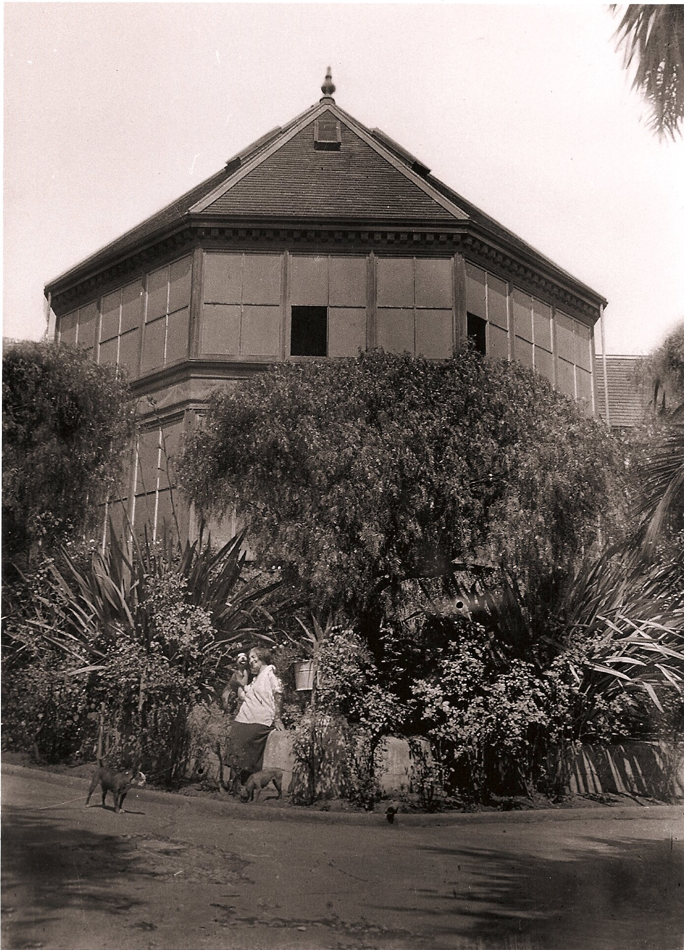 Mystery Woman Glass Negative.jpg