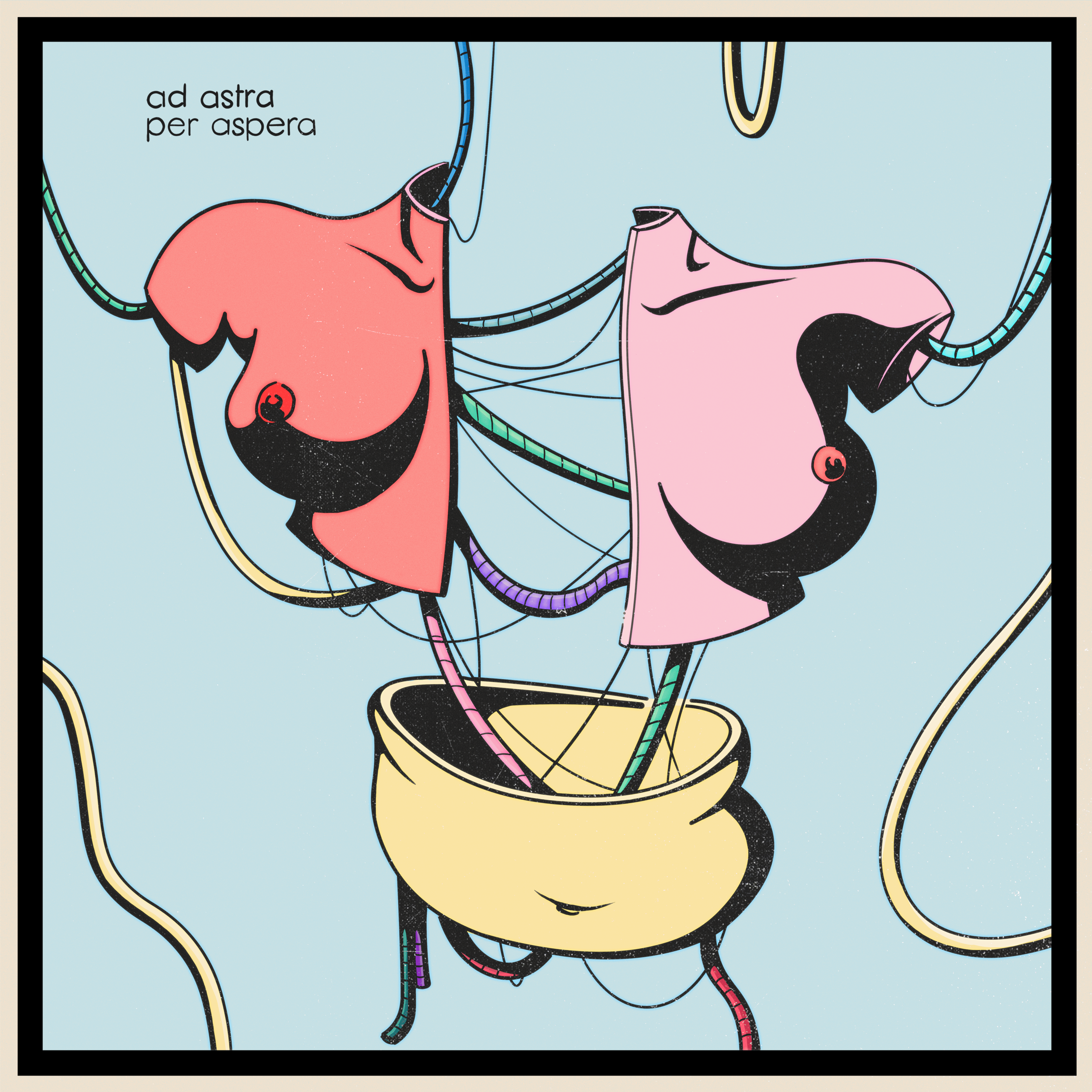 torso.png
