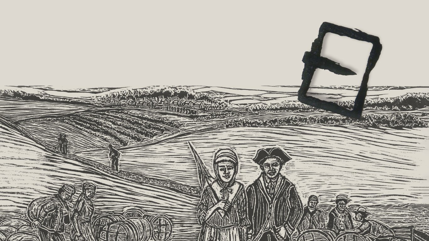 website-no-text.jpg