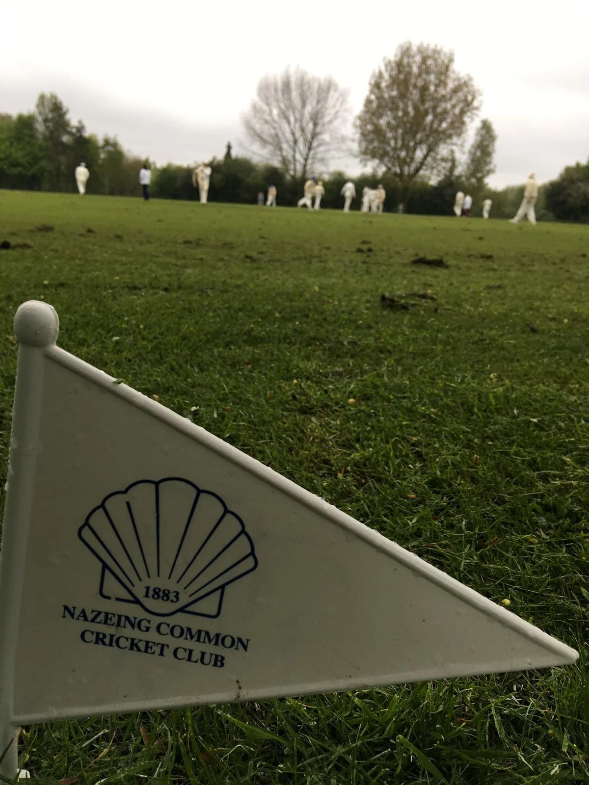 Looking ahead to the season...