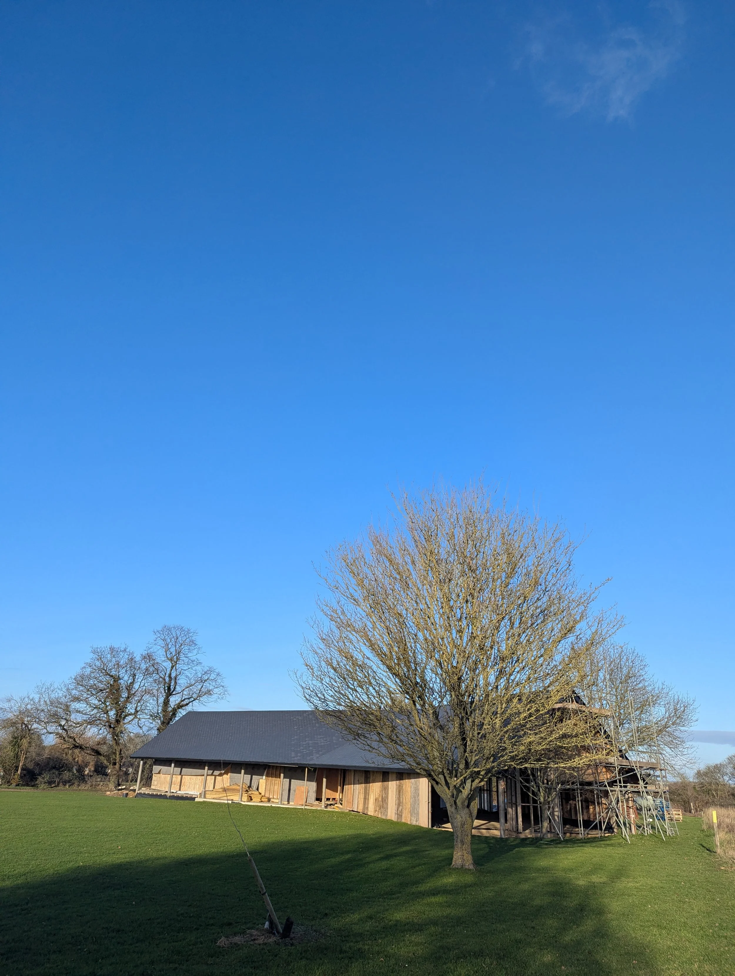 Finished rood - from field end (Jan 2025)