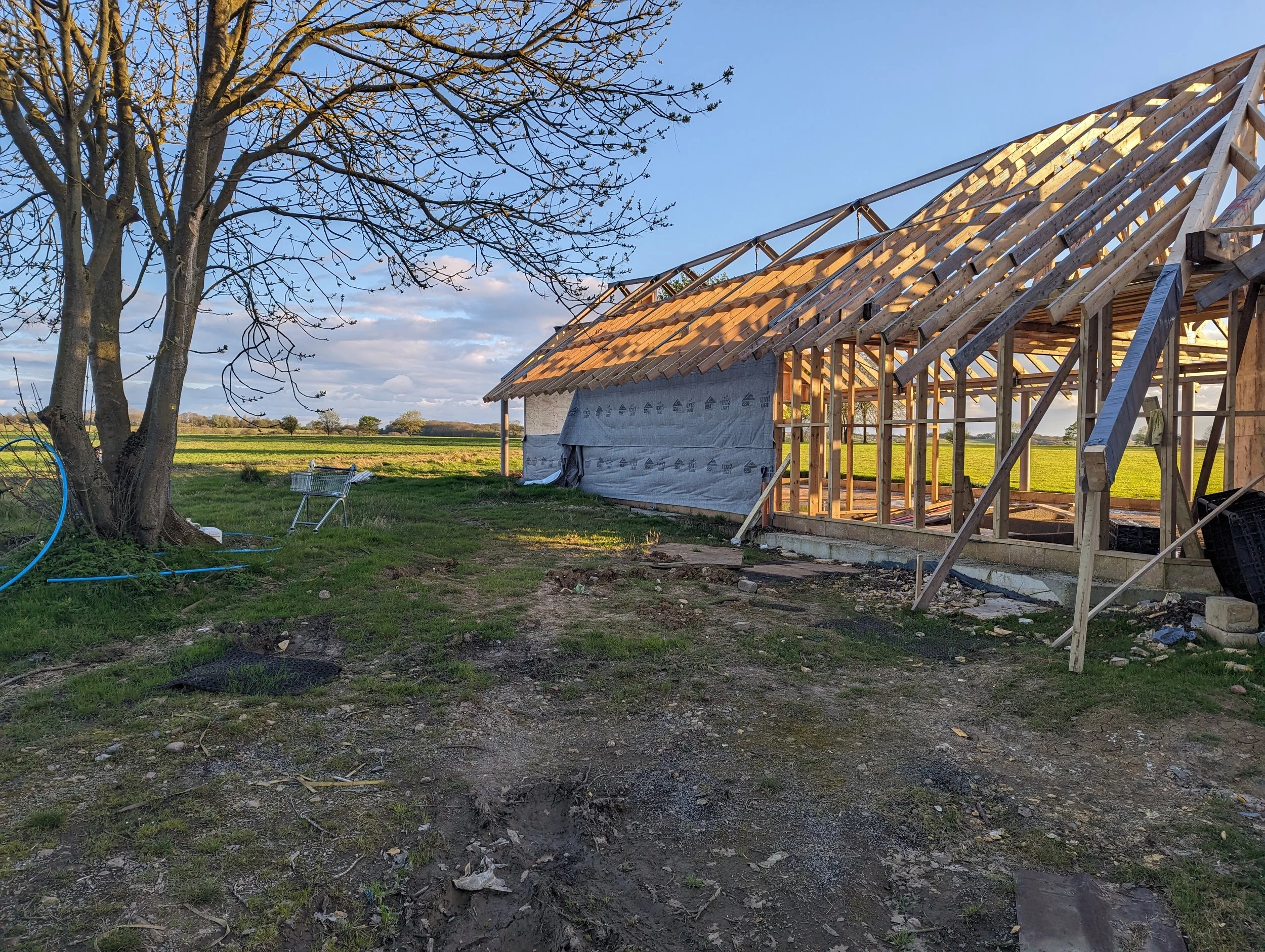 Joists going up - view from carpark (Jan 2024)