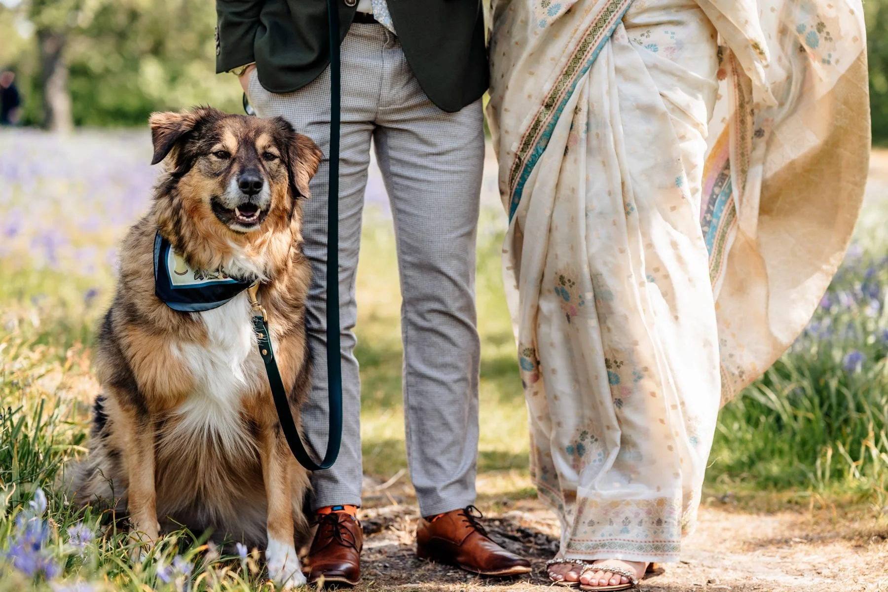 Victoria elopement Uplands Cattle Point  - 35.jpg