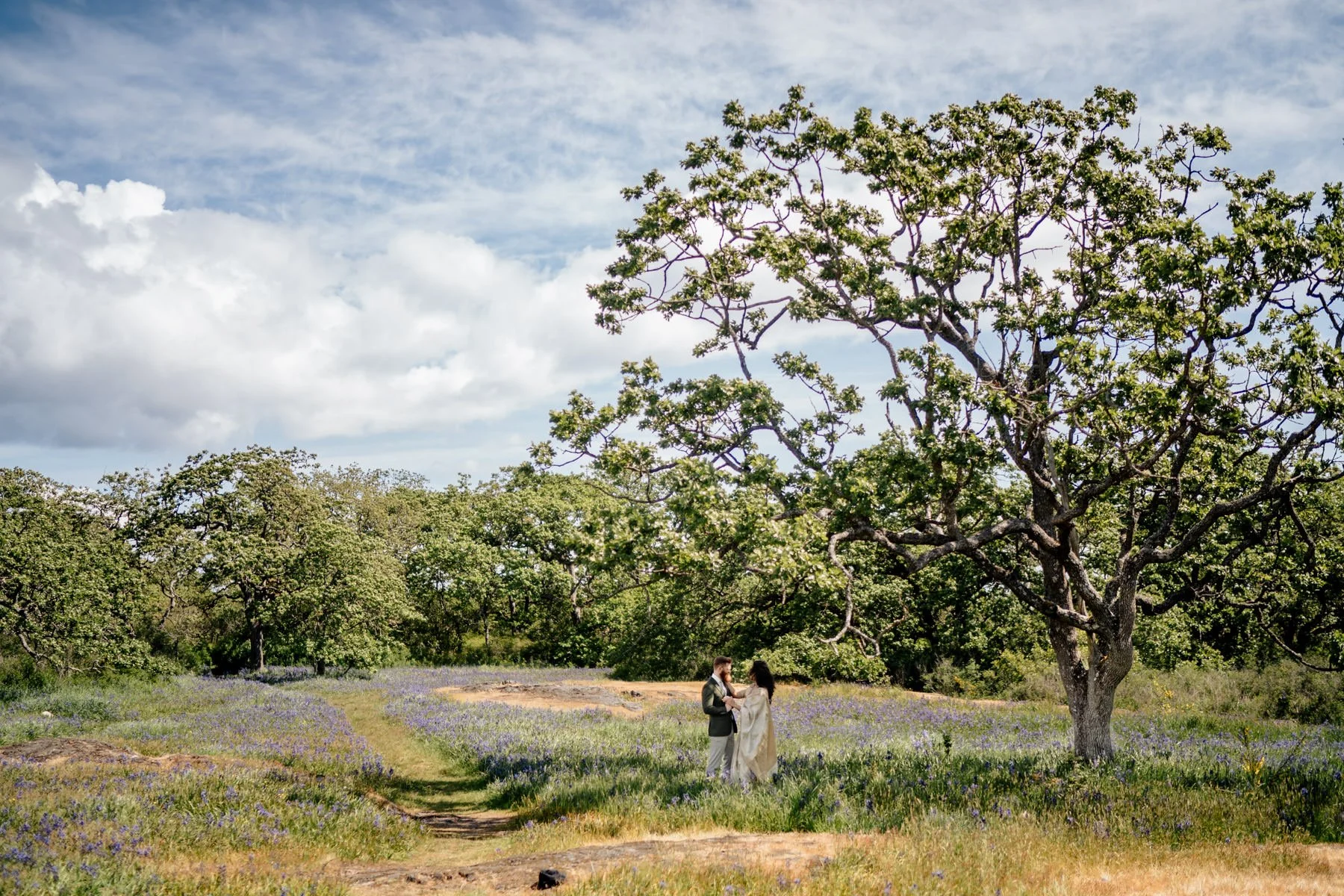 Victoria elopement Uplands Cattle Point  - 44.jpg