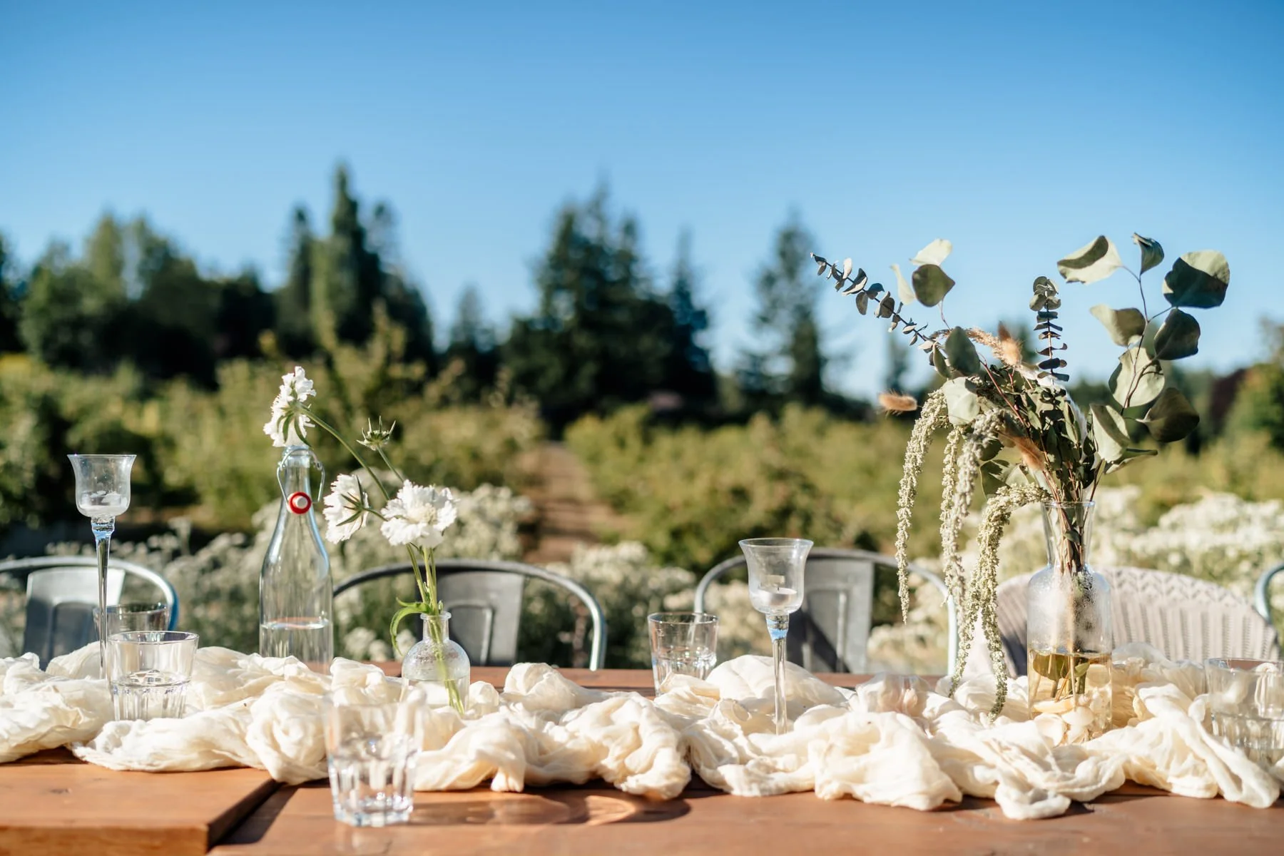 victoria bc wedding Sea Cider 86.jpg