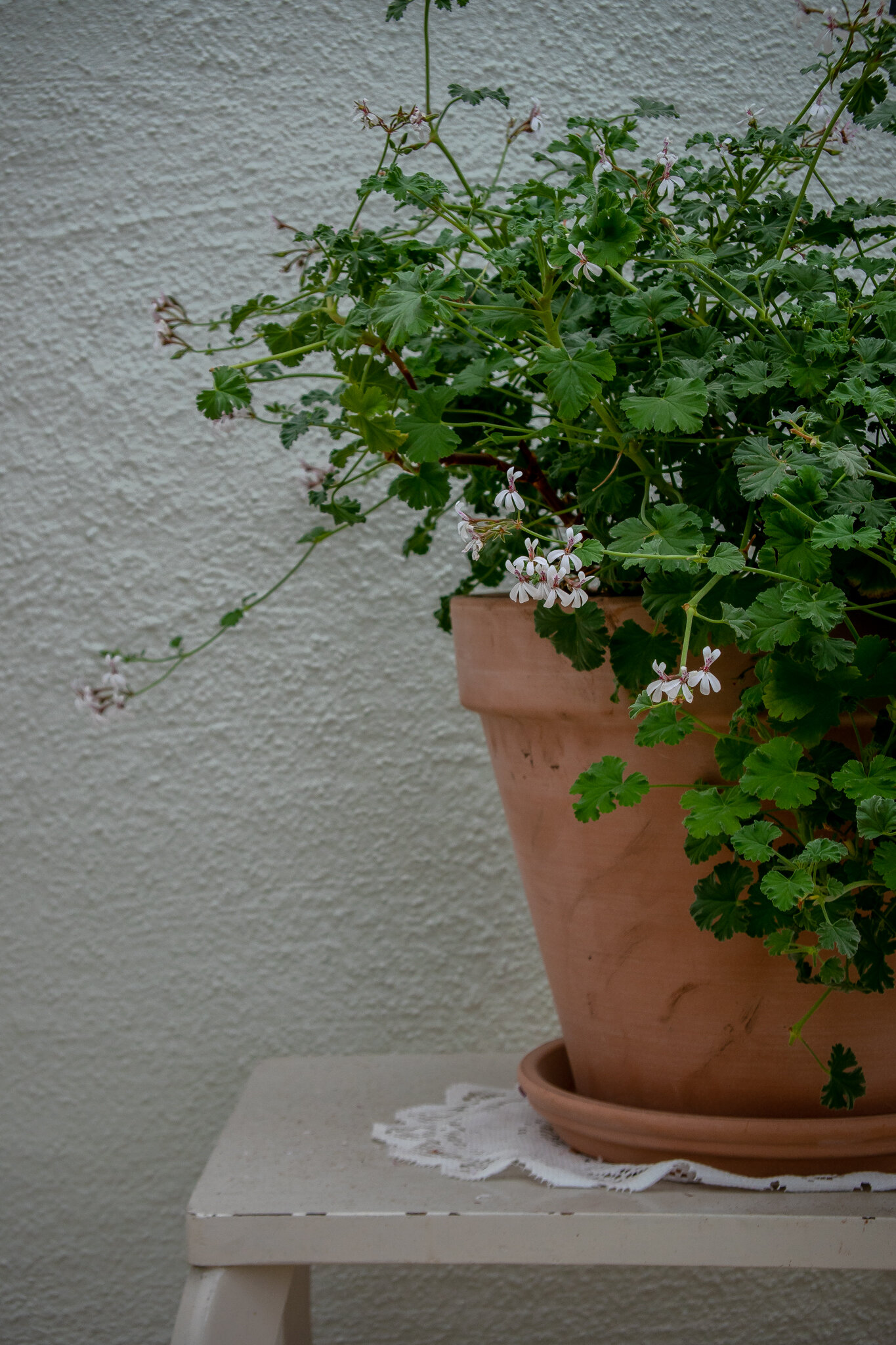 DSC_8816.jpeg