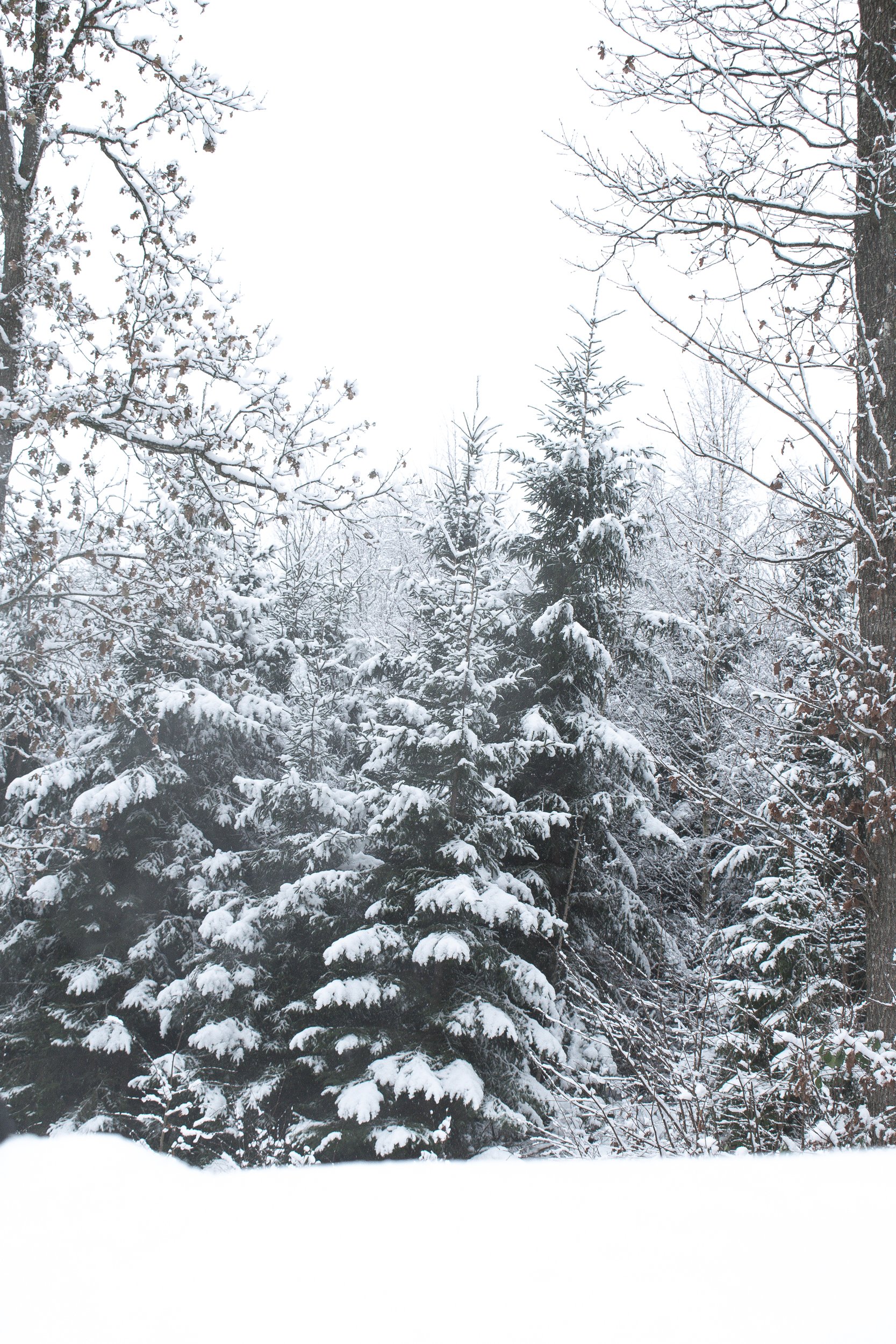 DSC_0316.jpg