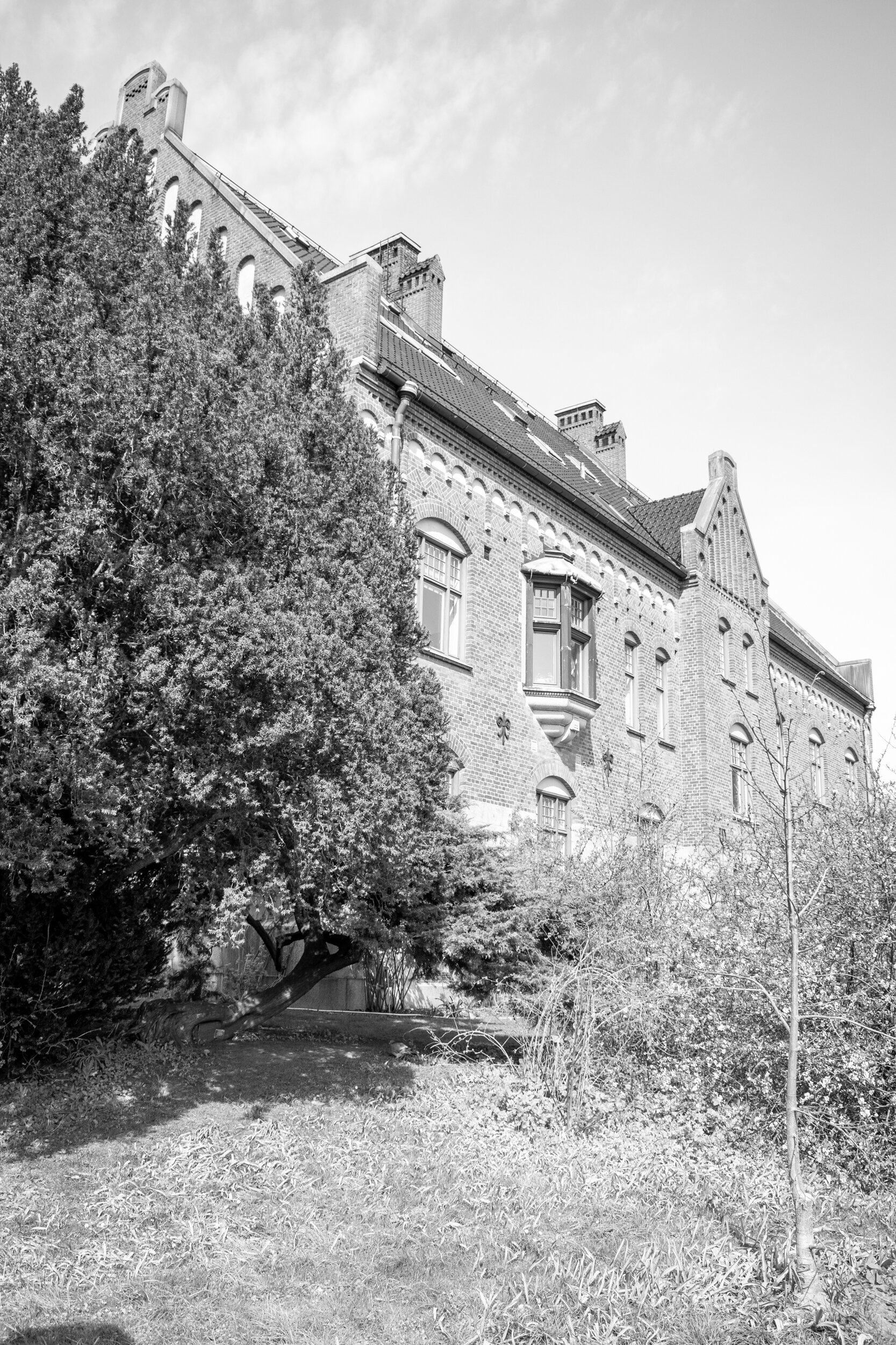 DSC_0117.jpg