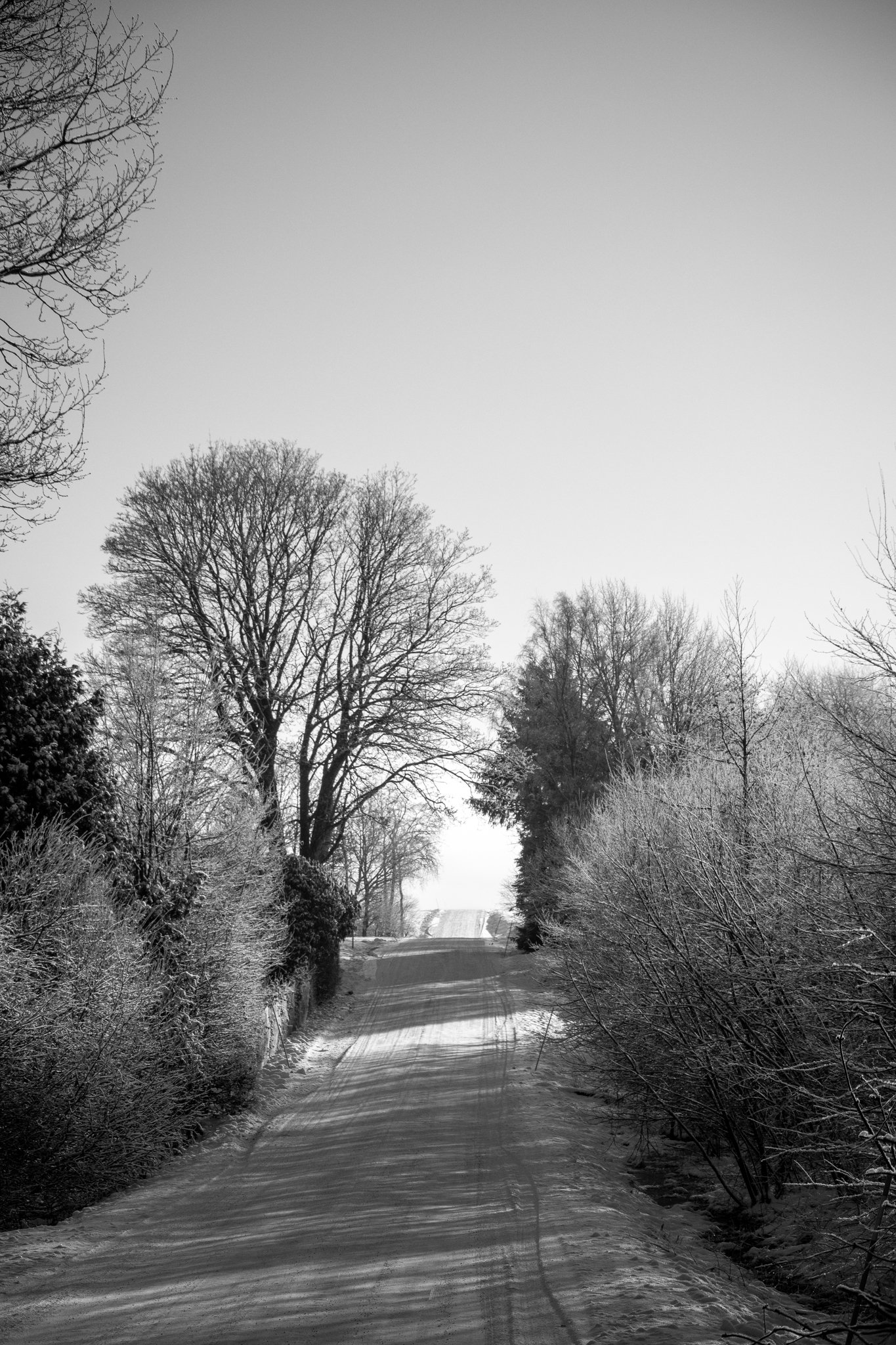 DSC_0321.jpg