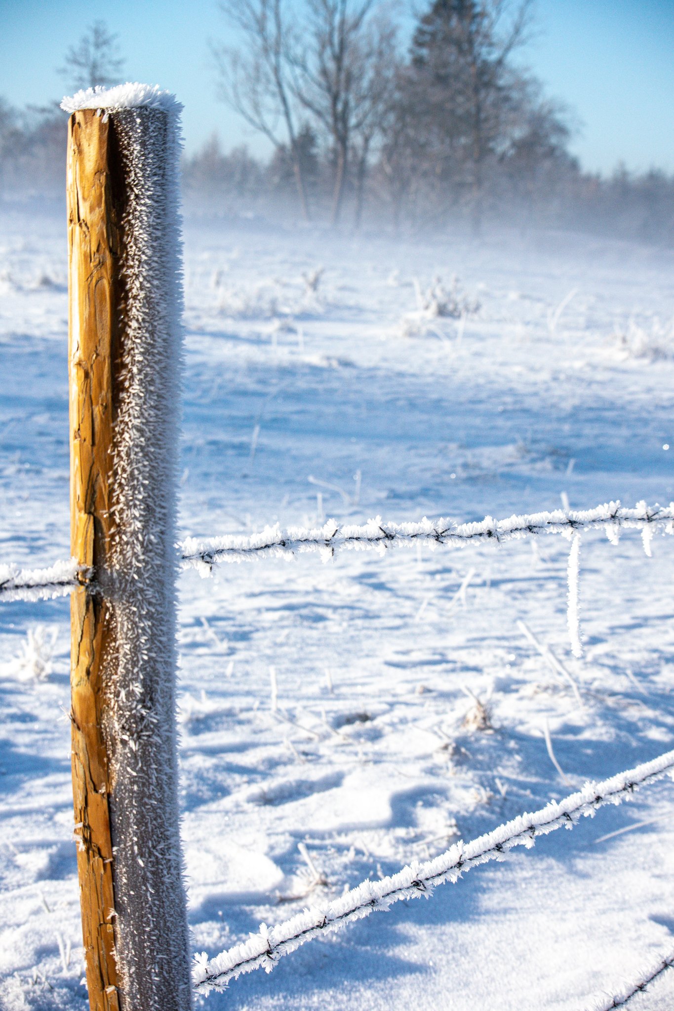 DSC_0373.jpg