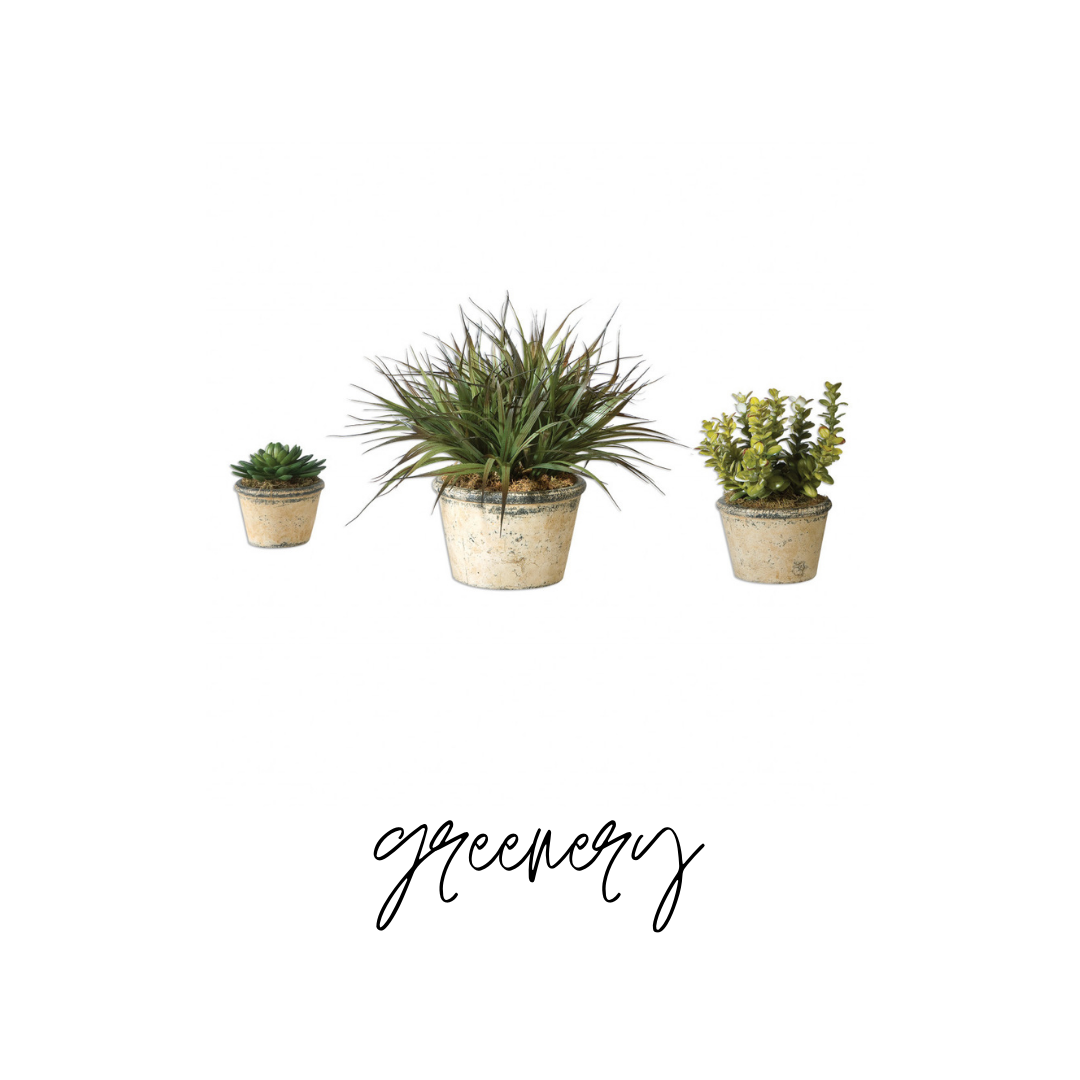 shop-greenery-stage-it-southern.png