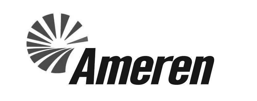 Ameren(B&W).jpg