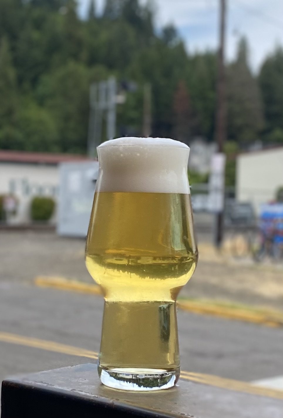 Beer