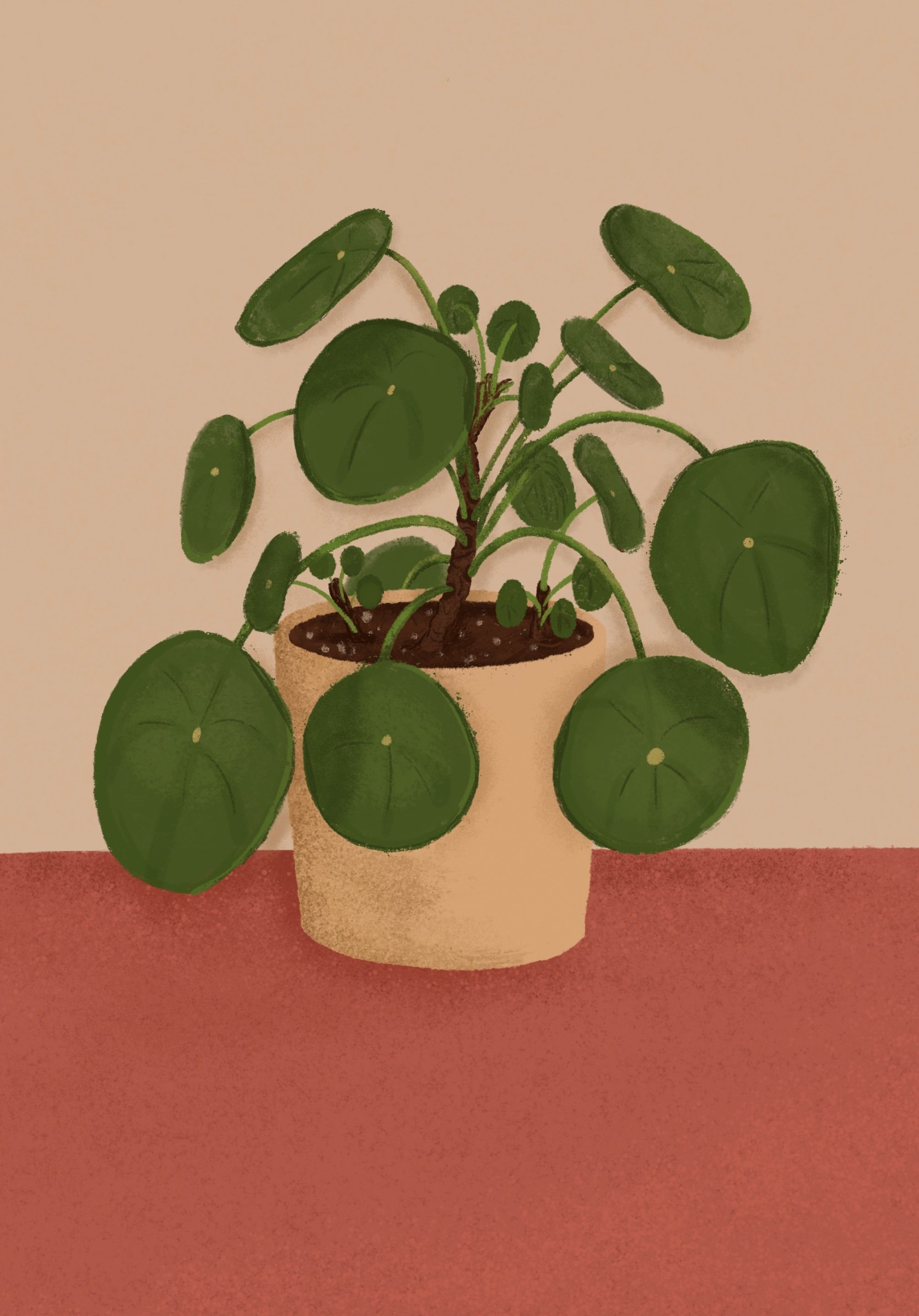 Plant_2 2.jpg